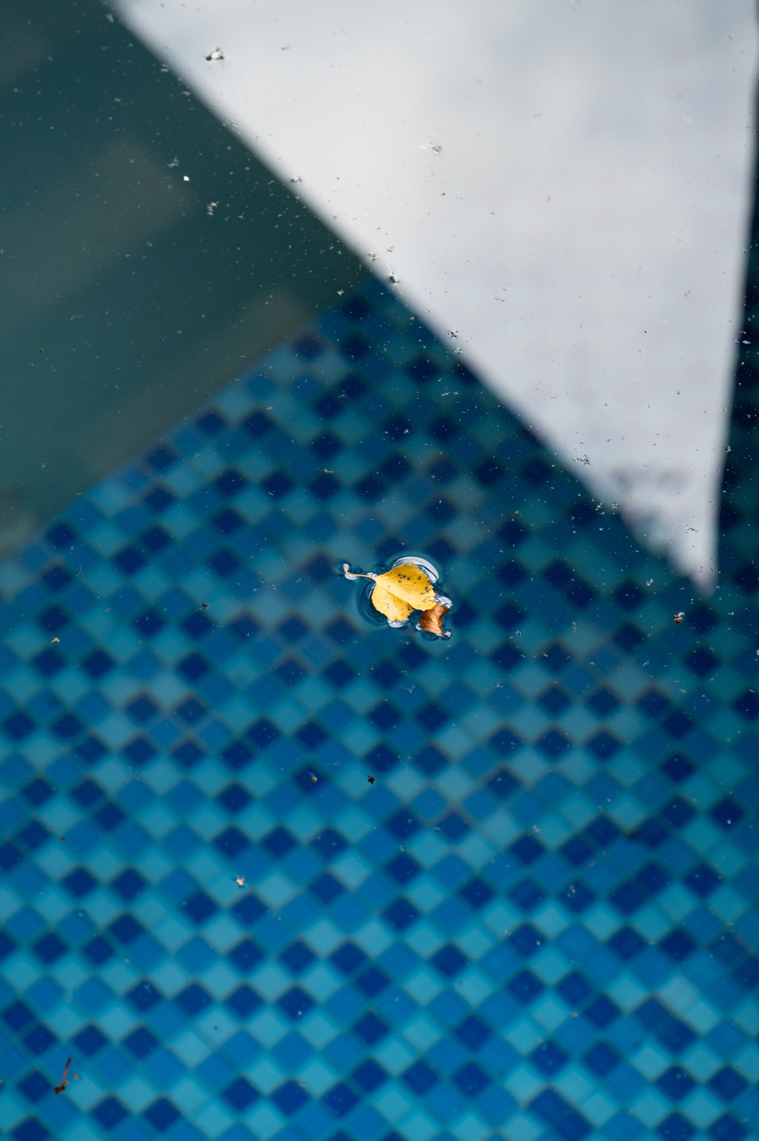 Фотосъемка для банного комплекса. Фотограф Лобанов Антон, г. Москва