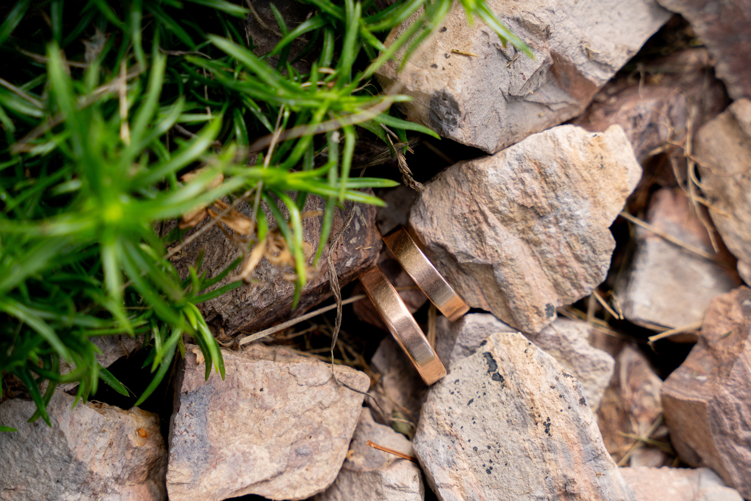 АЛЕКСЕЙ И АЛИНА. Фотограф на любое мероприятие