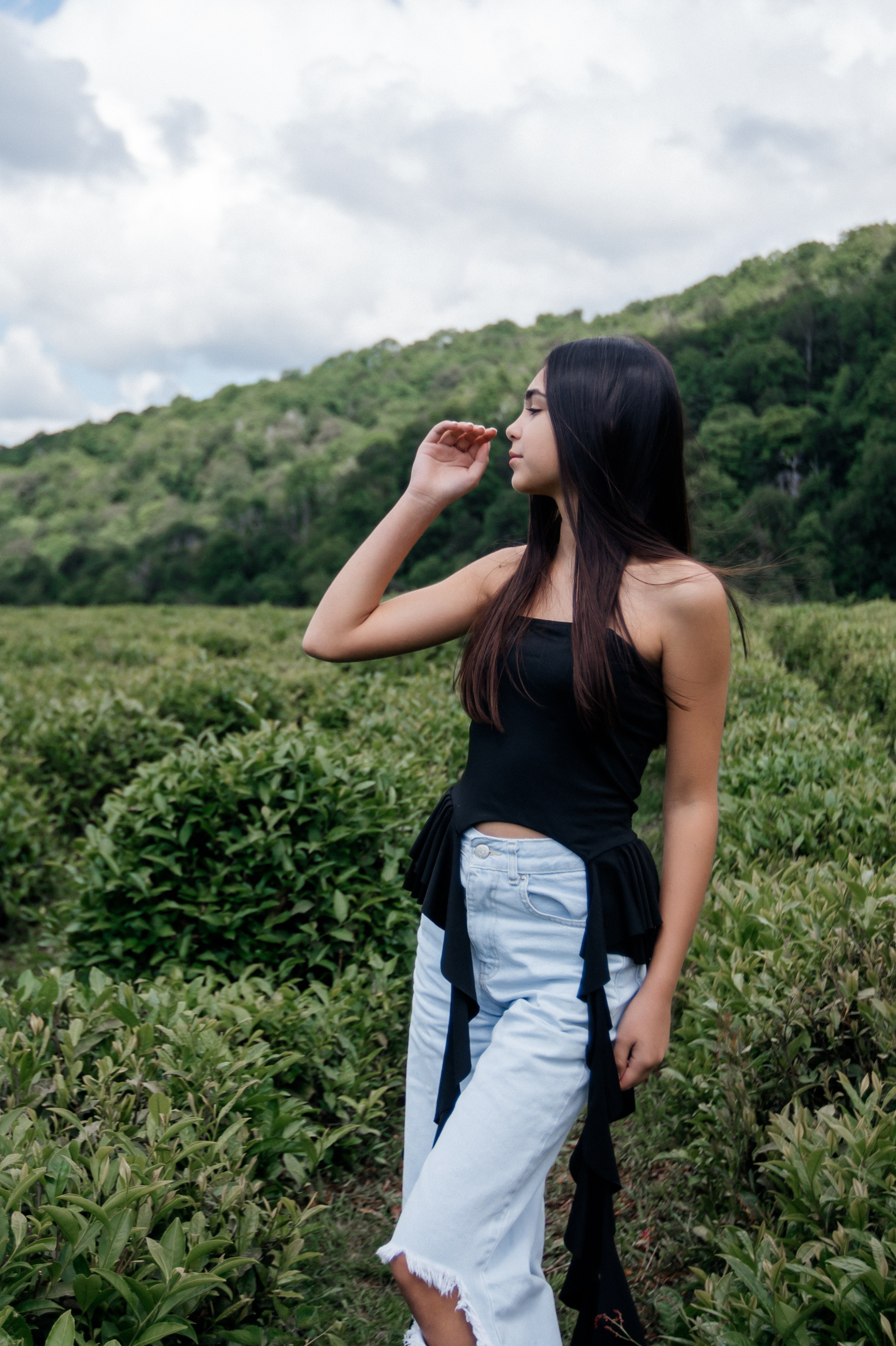 Tea plantation. Efimova Model Agency