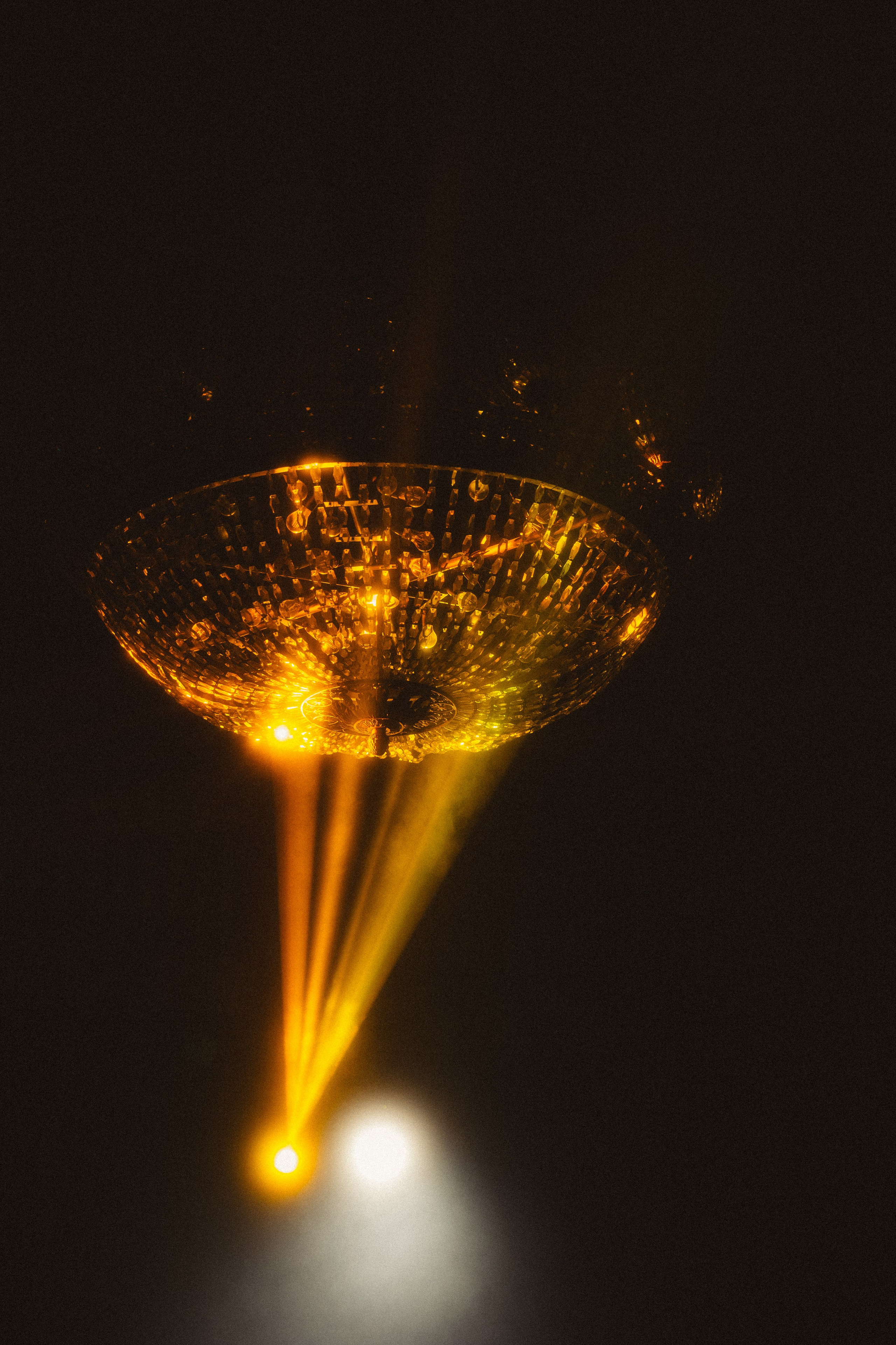 Вероника & Максим. Phdkvmr.ru