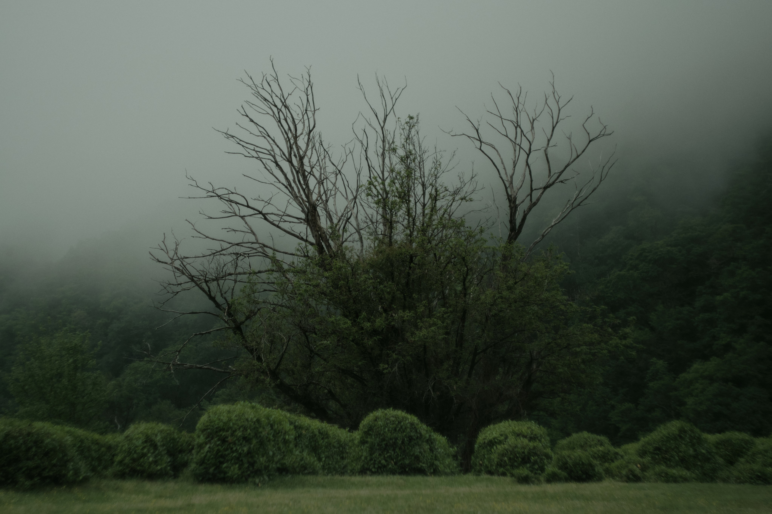 Khosta. Фотограф Настя Лев