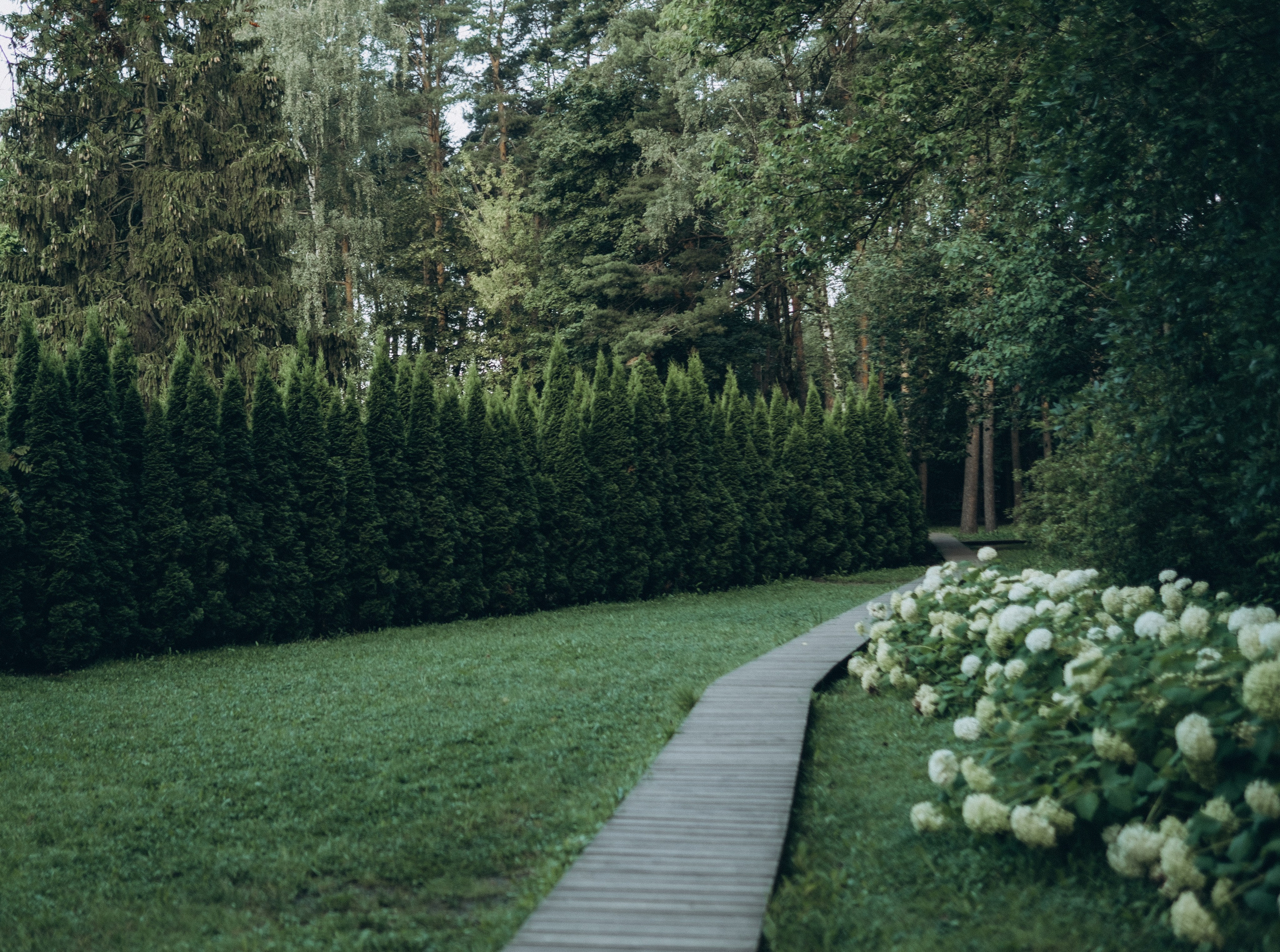 На рассвете. Фотограф в Москве Ольга Елоева
