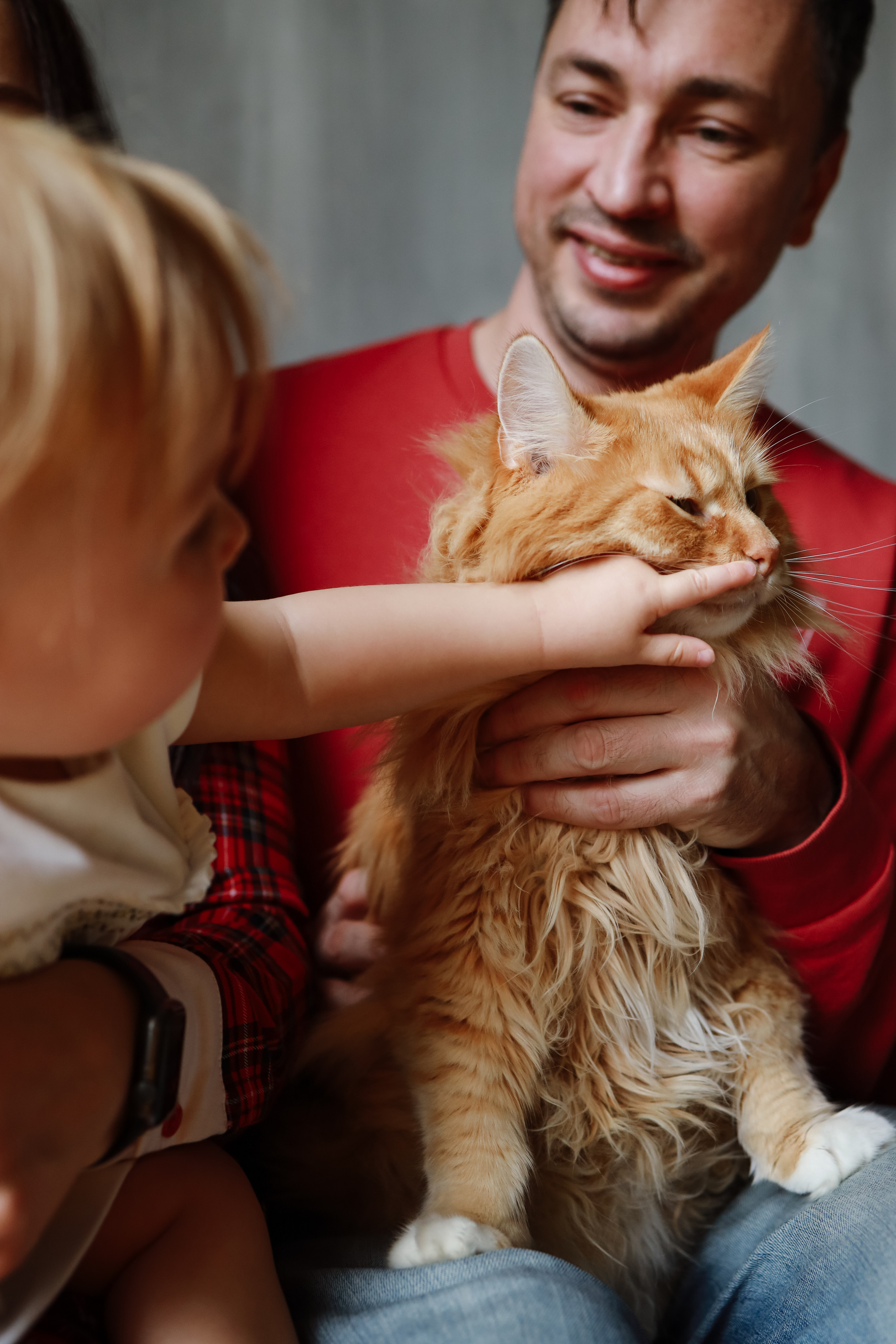 Пряничный домик. Семейный фотограф в Москве Ольга Комарова
