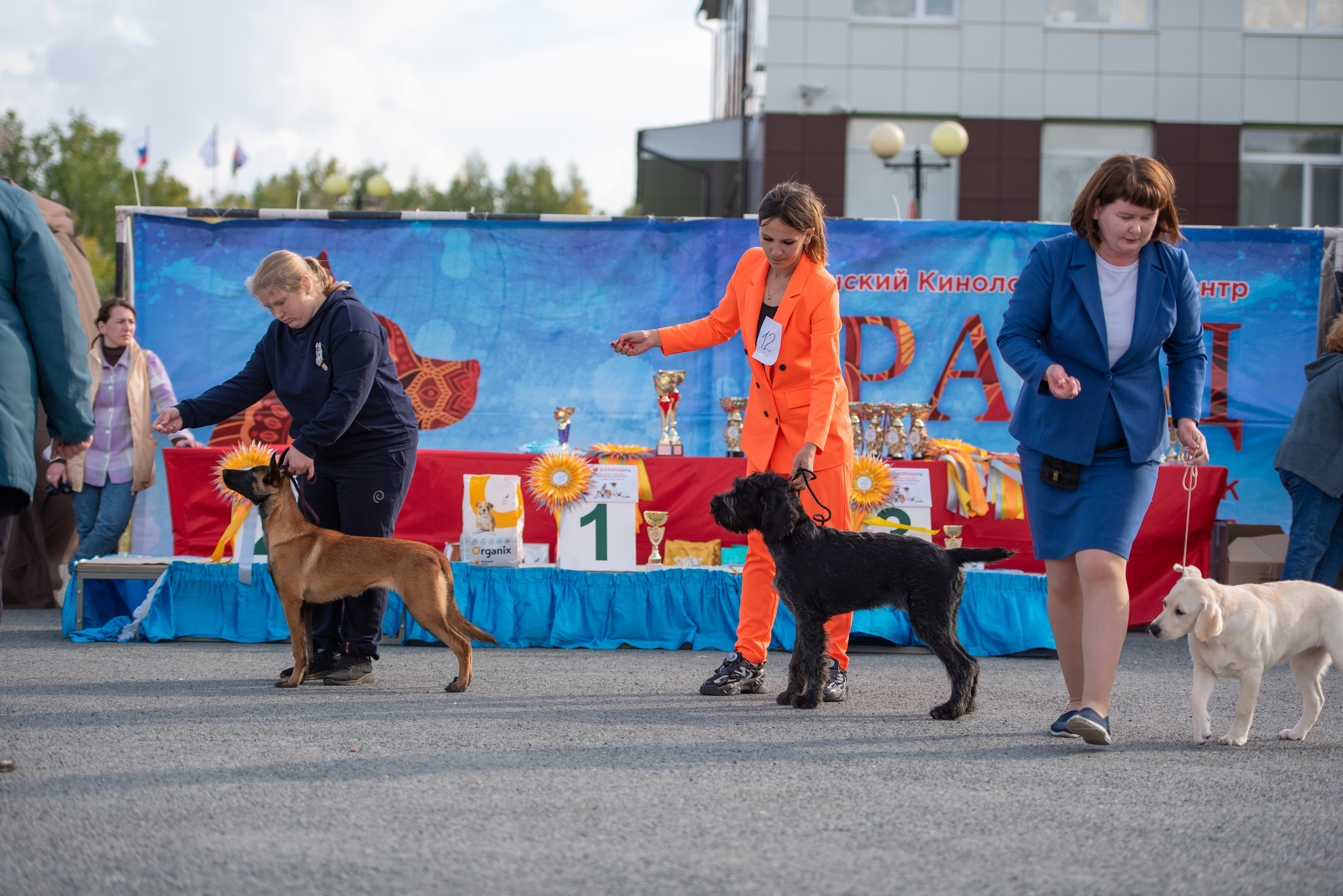 Выставки. Главная