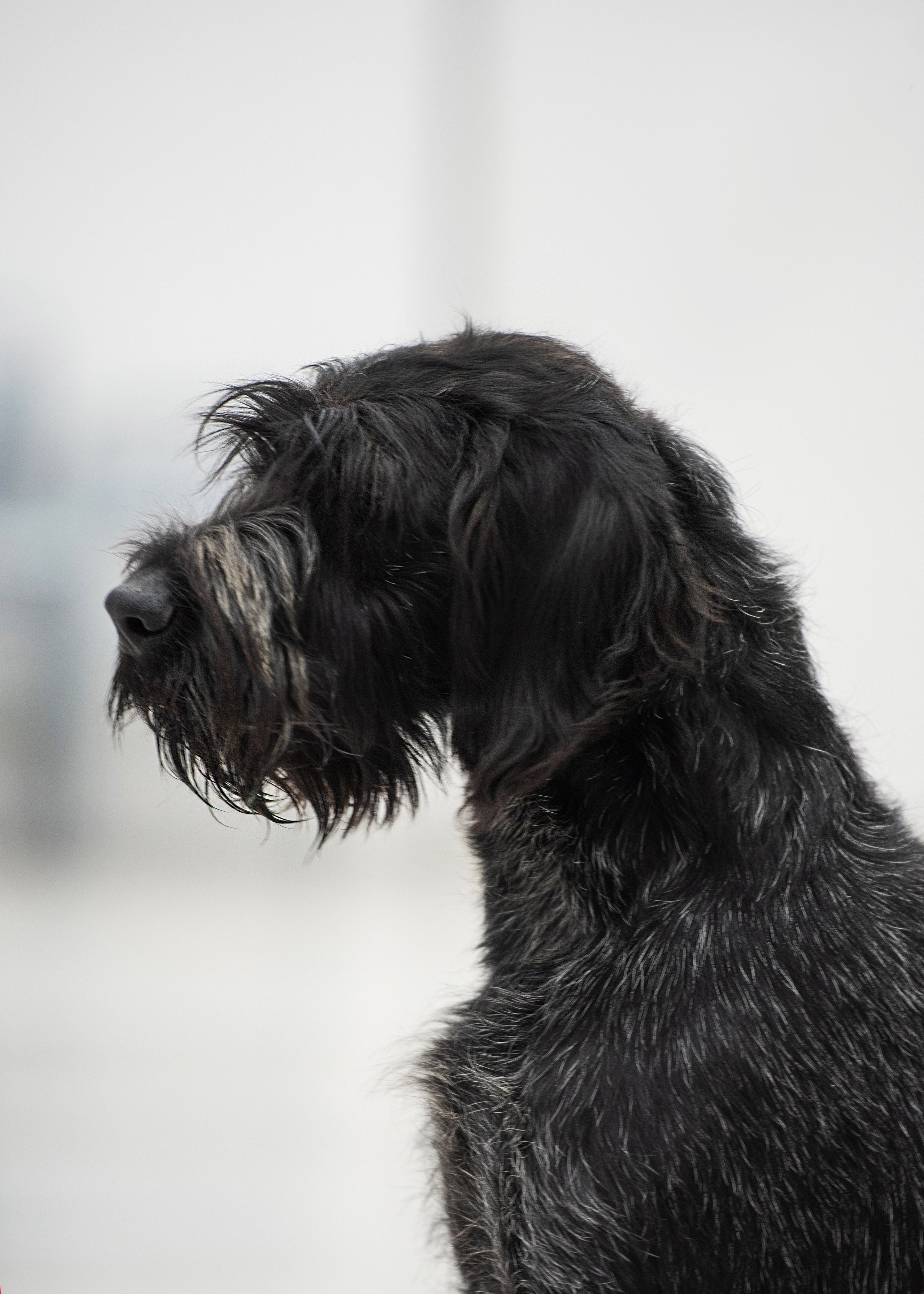 Выставки. Главная