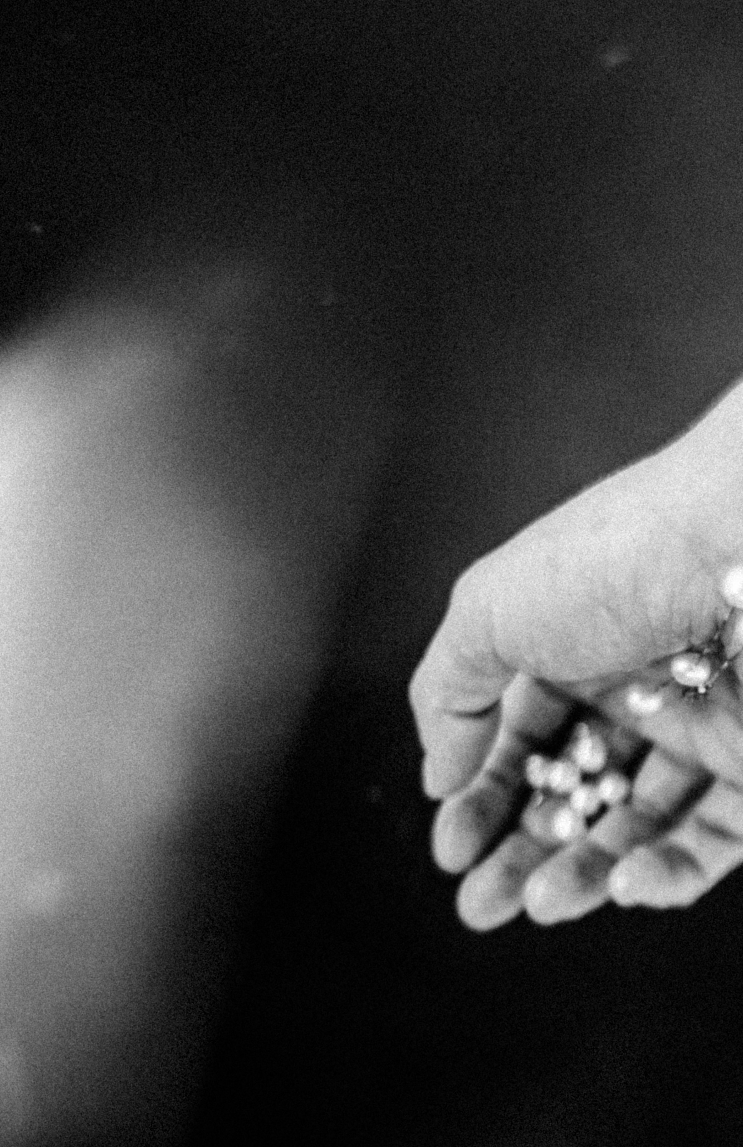 Лена. Рассвет над Окой. Фотограф в Нижнем Новгороде