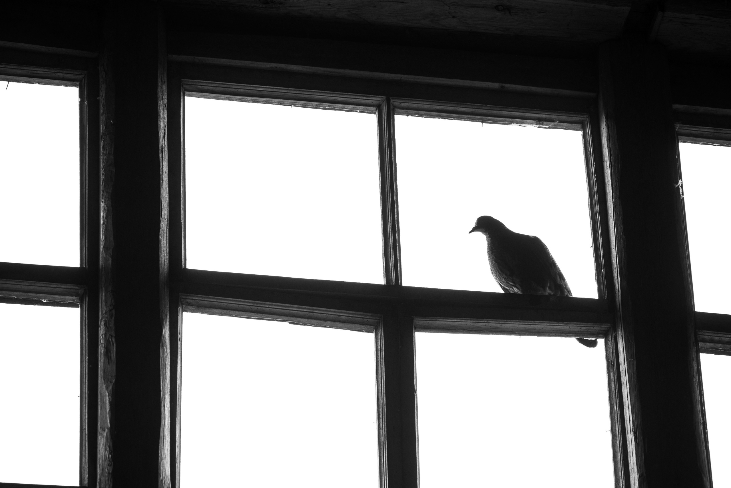 Деревня / Север II. Фотограф Антон Денисенко: Портрет, Документалистика, Пейзаж. Москва