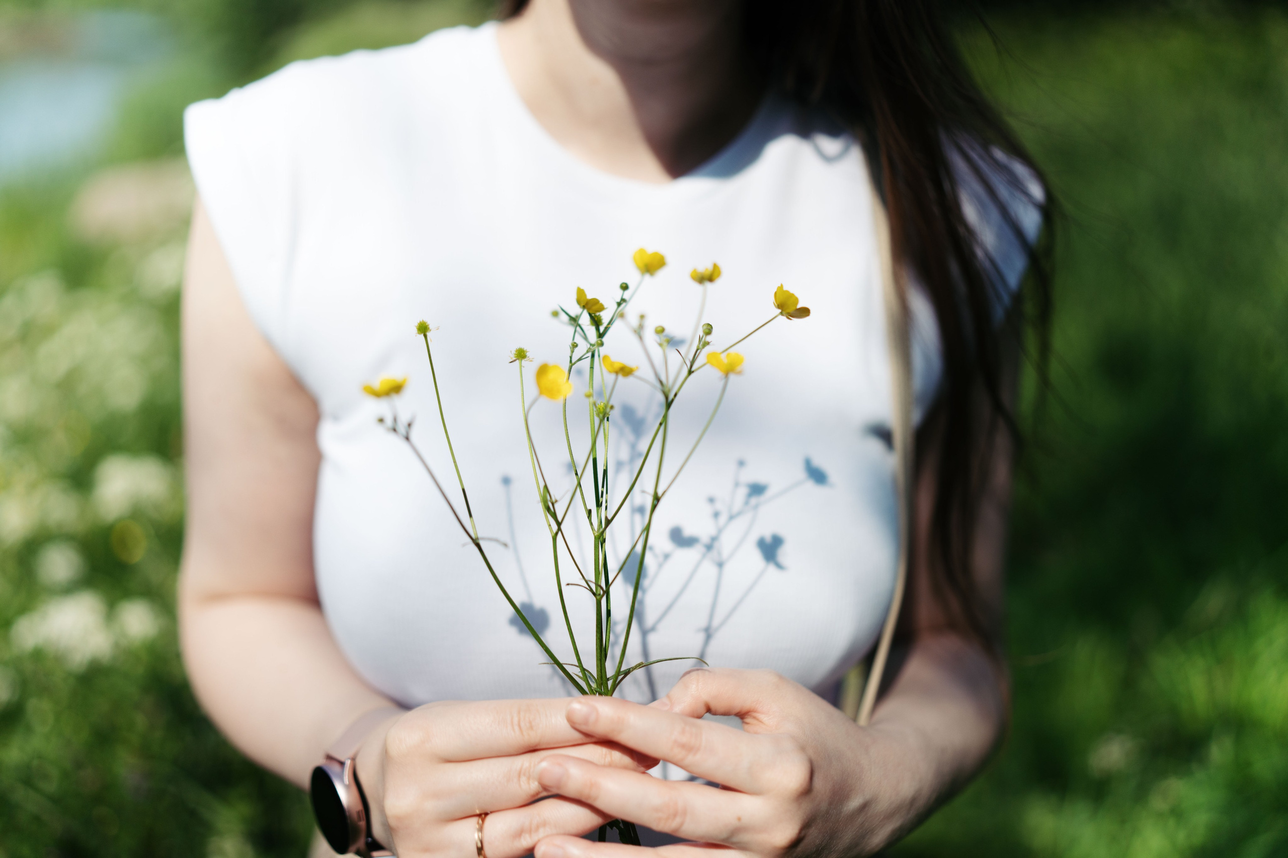 Парк. Баев Дмитрий — фотограф из СПБ
