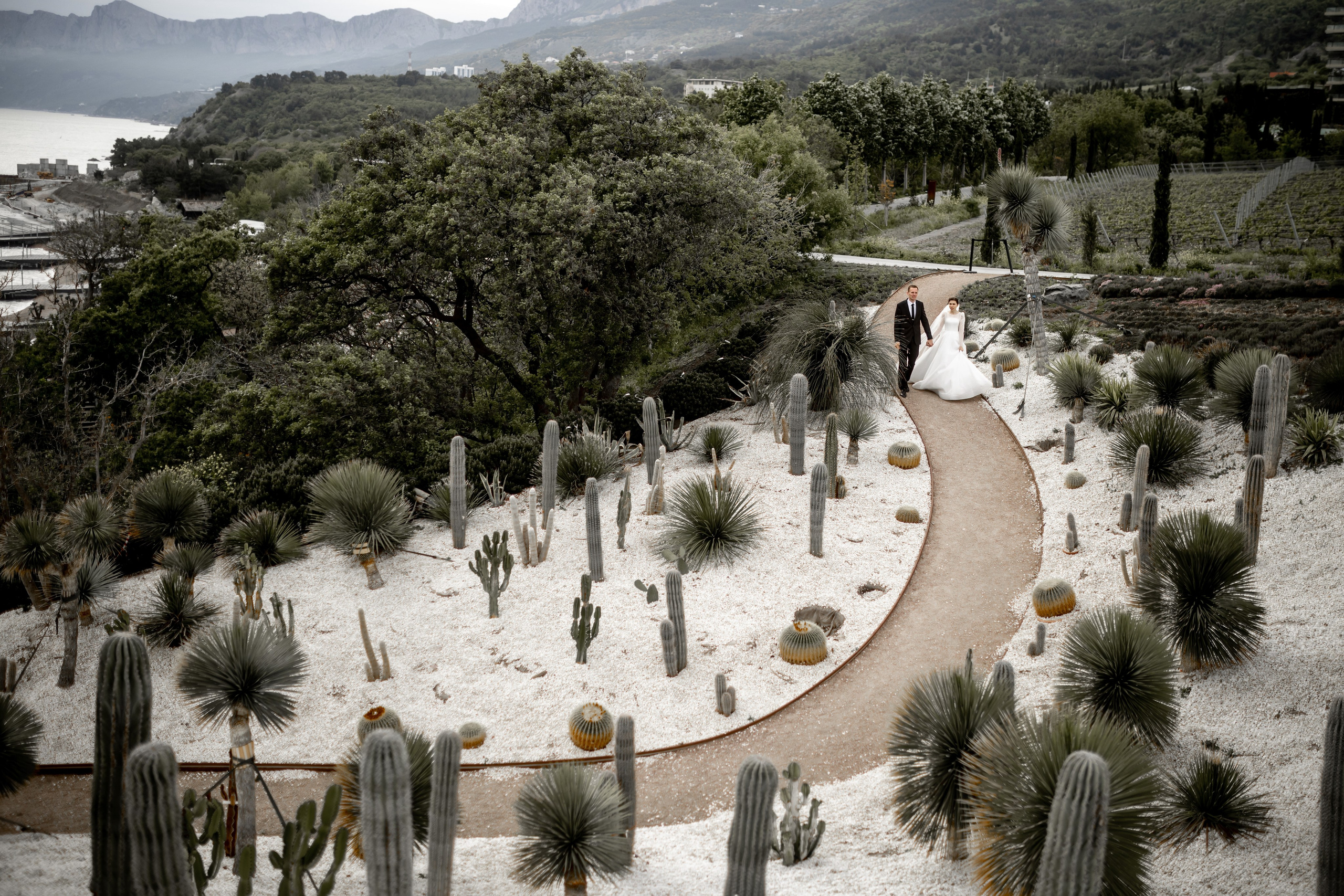 Давид и Наталия-прогулка. Свадебный и семейный фотограф в Севастополе и в Крыму Анастасия Корчак