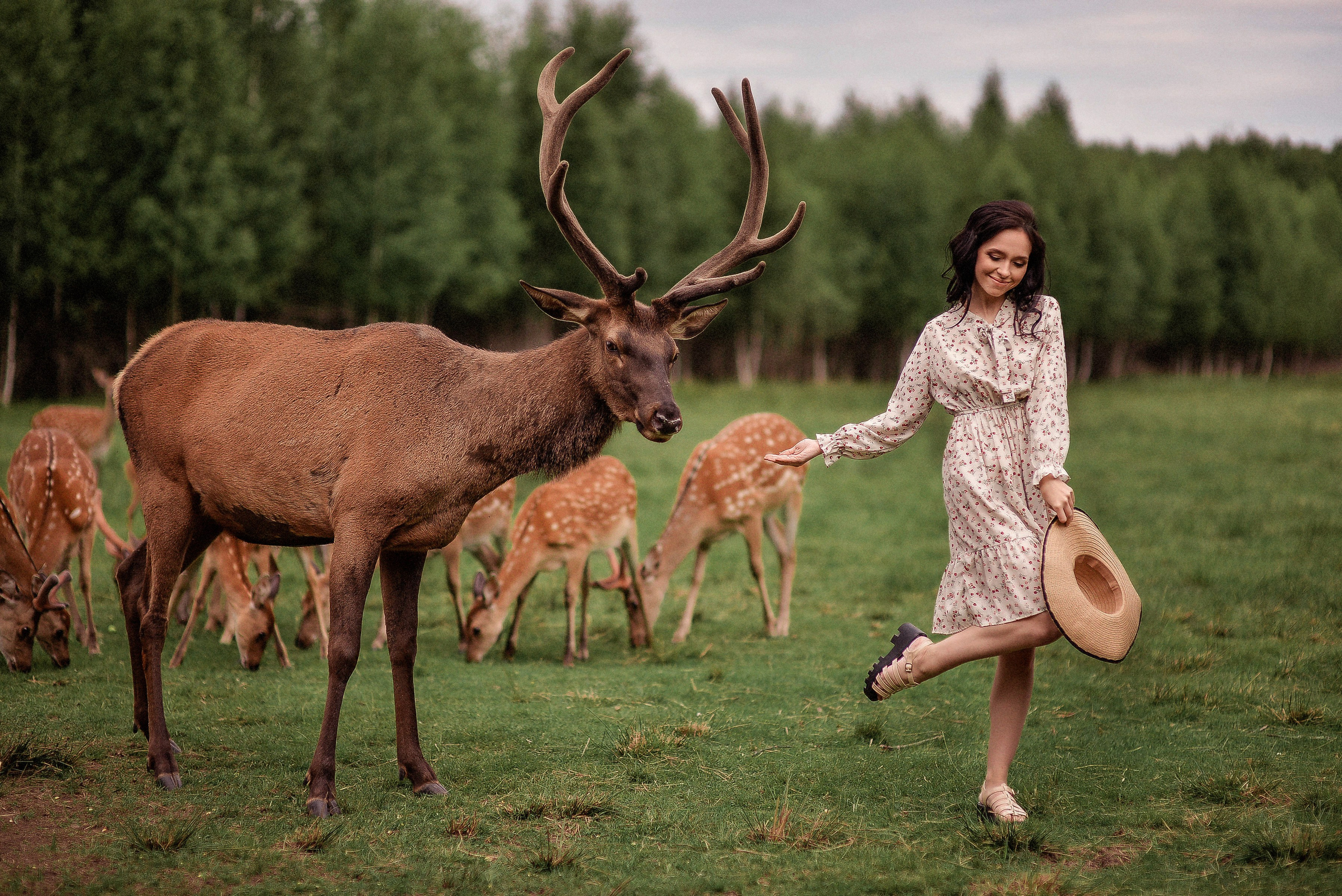 Индивидуальная. Свадебный Фотограф в Твери Анастасия Булкина