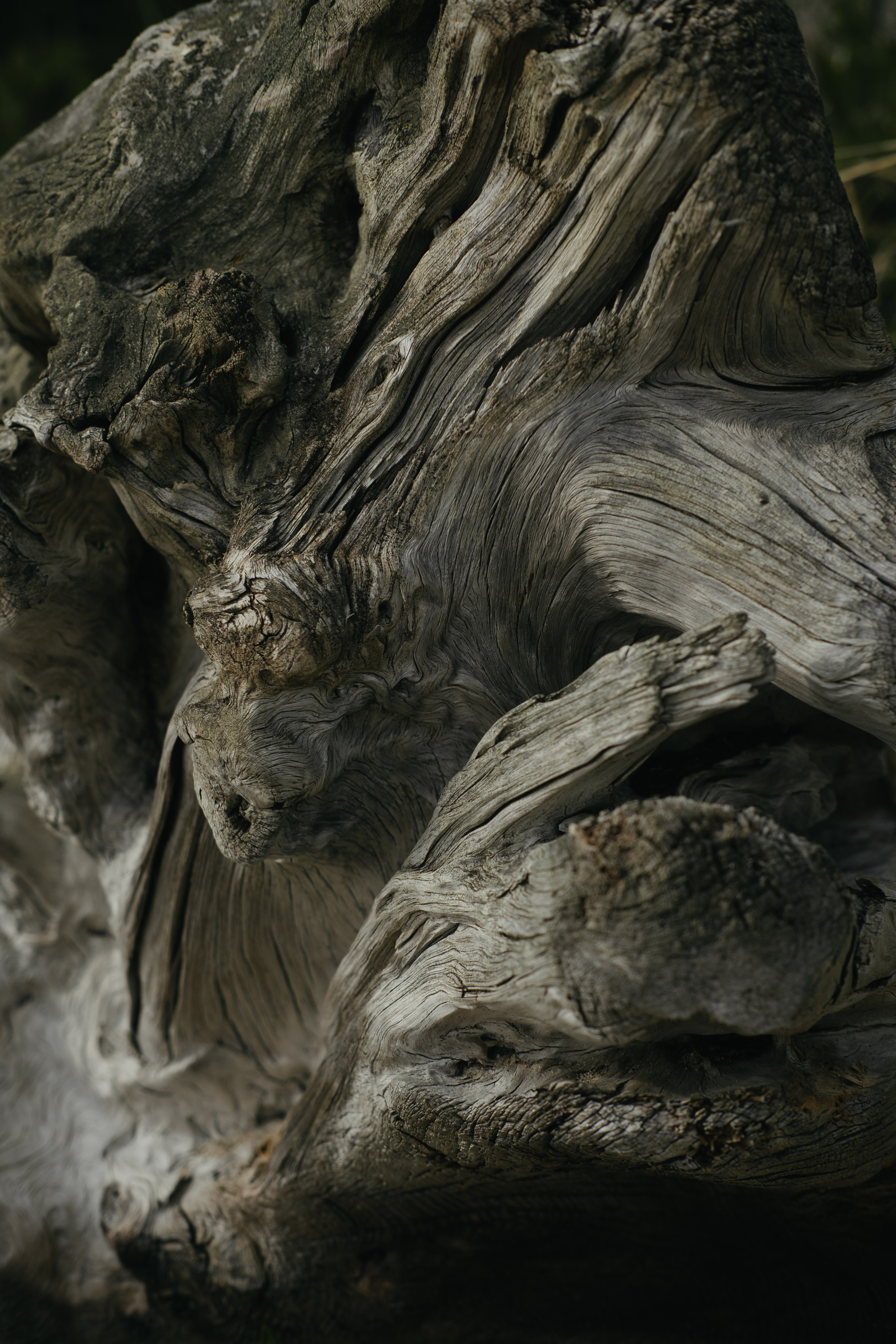 Карелия и Соловецкие острова. Обо мне