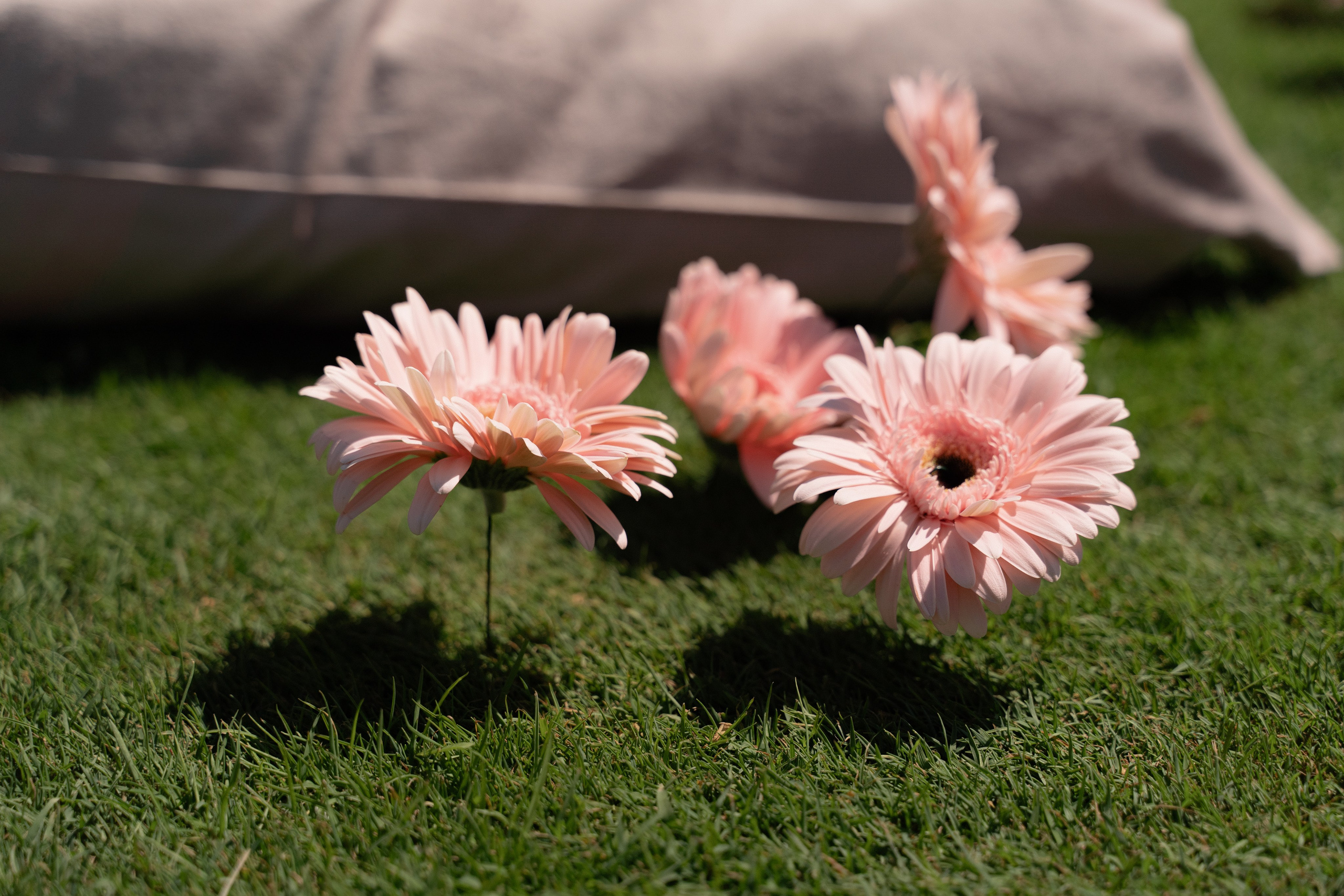 крупные детали со свадьбы в Геленджике