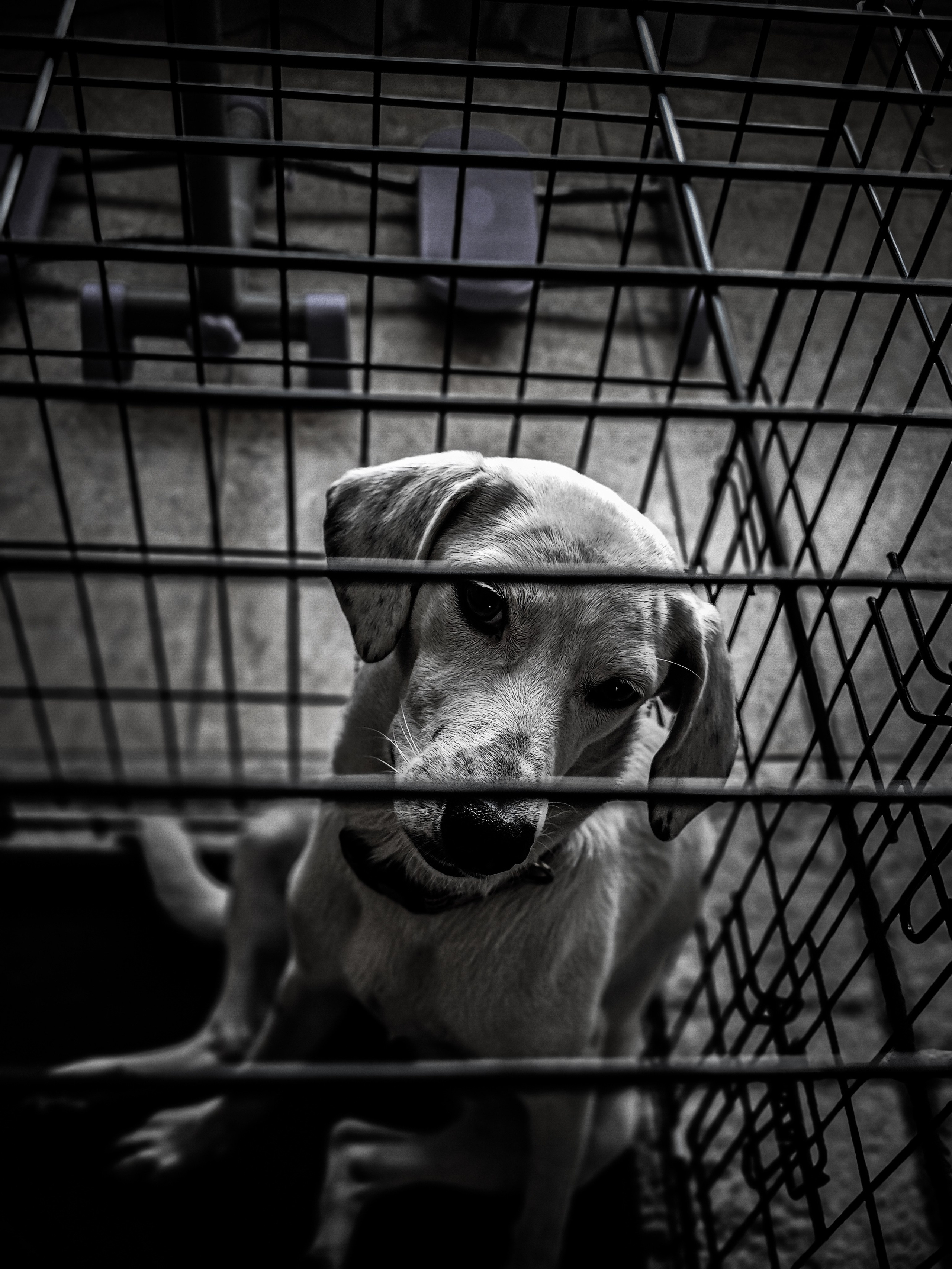 Ожидание. Игорь Урывский. Фотограф Красноярск