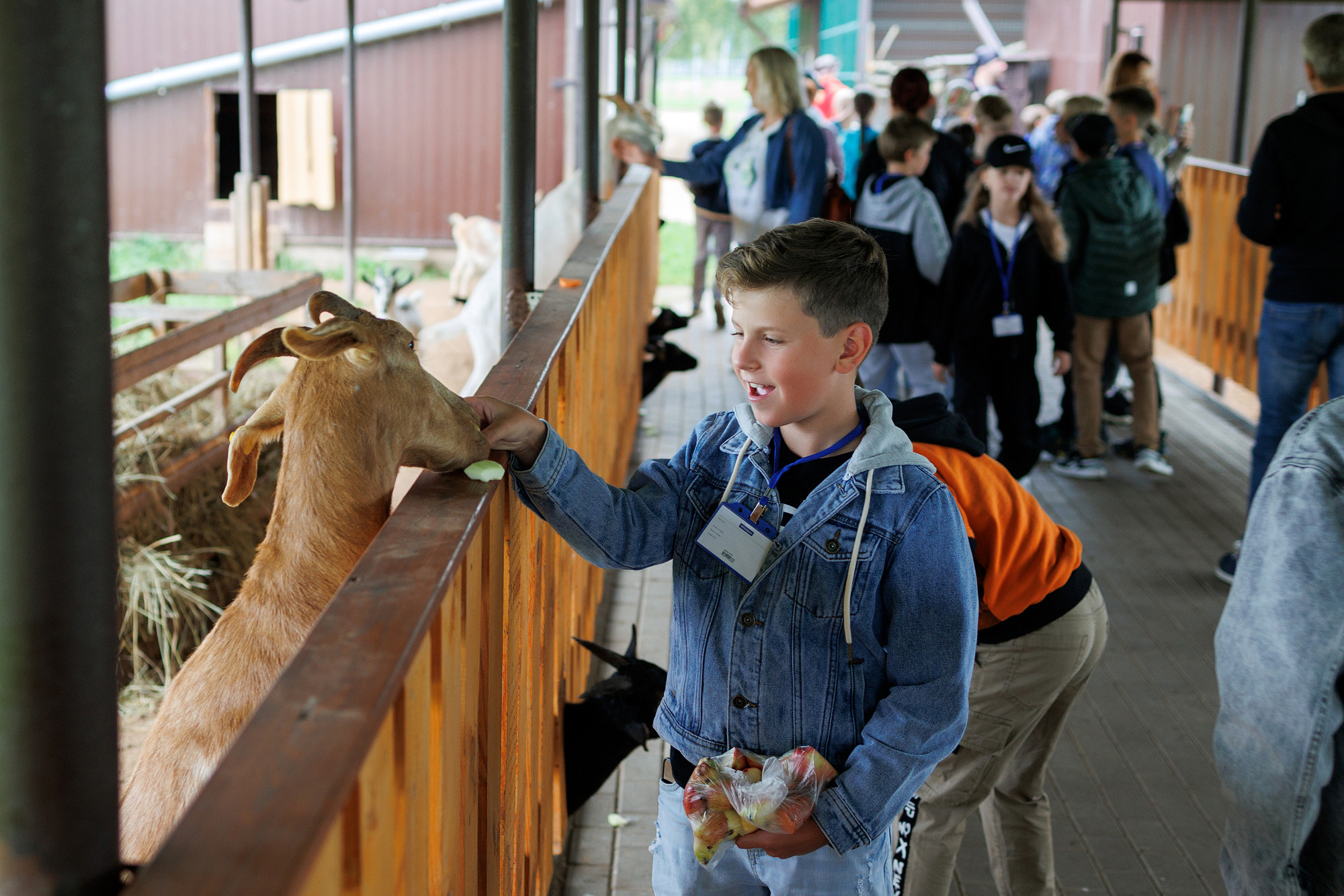 Экскурсия на оленью ферму. Фотограф в Твери и Москве Юлия Бахтамова