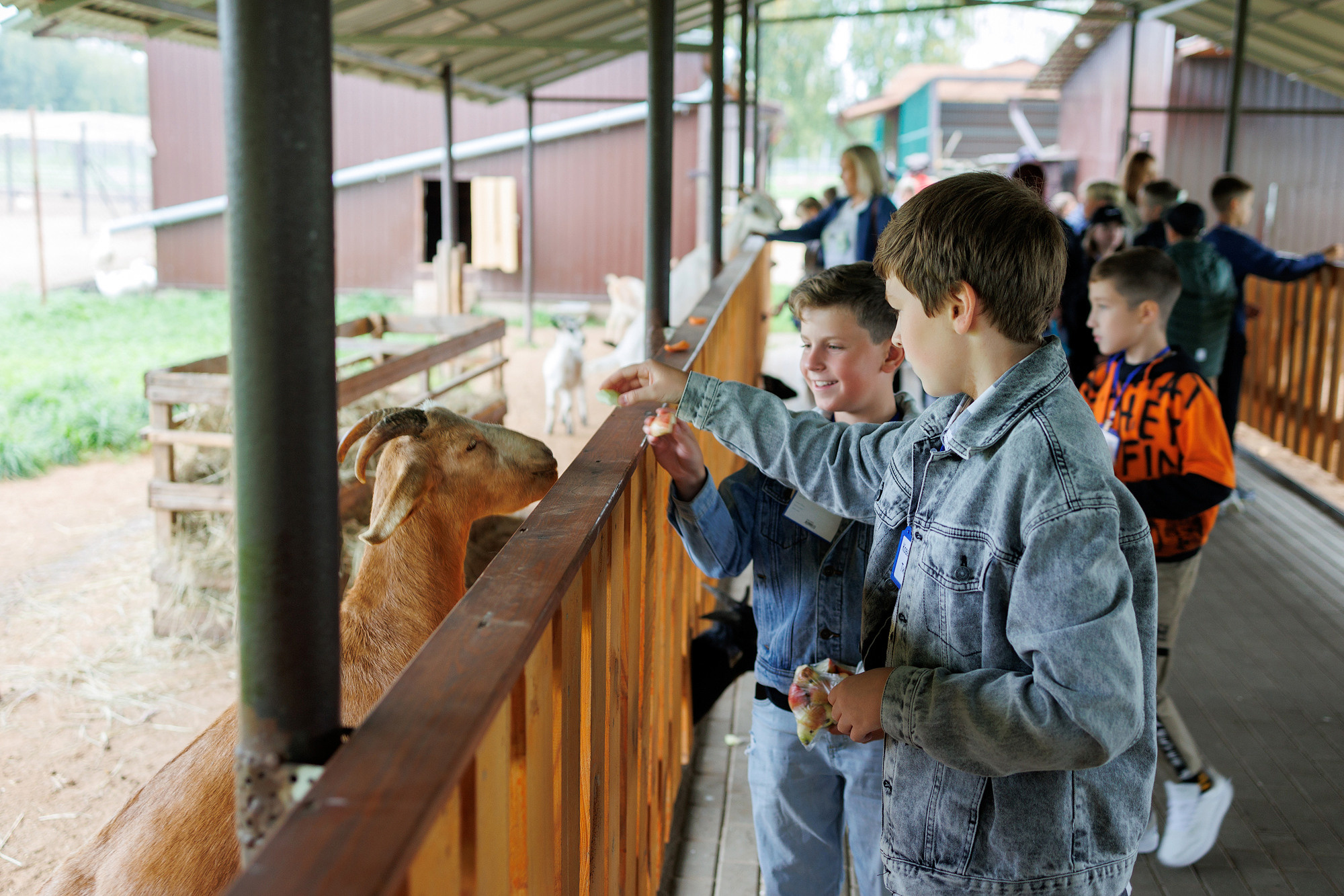Экскурсия на оленью ферму. Фотограф в Твери и Москве Юлия Бахтамова