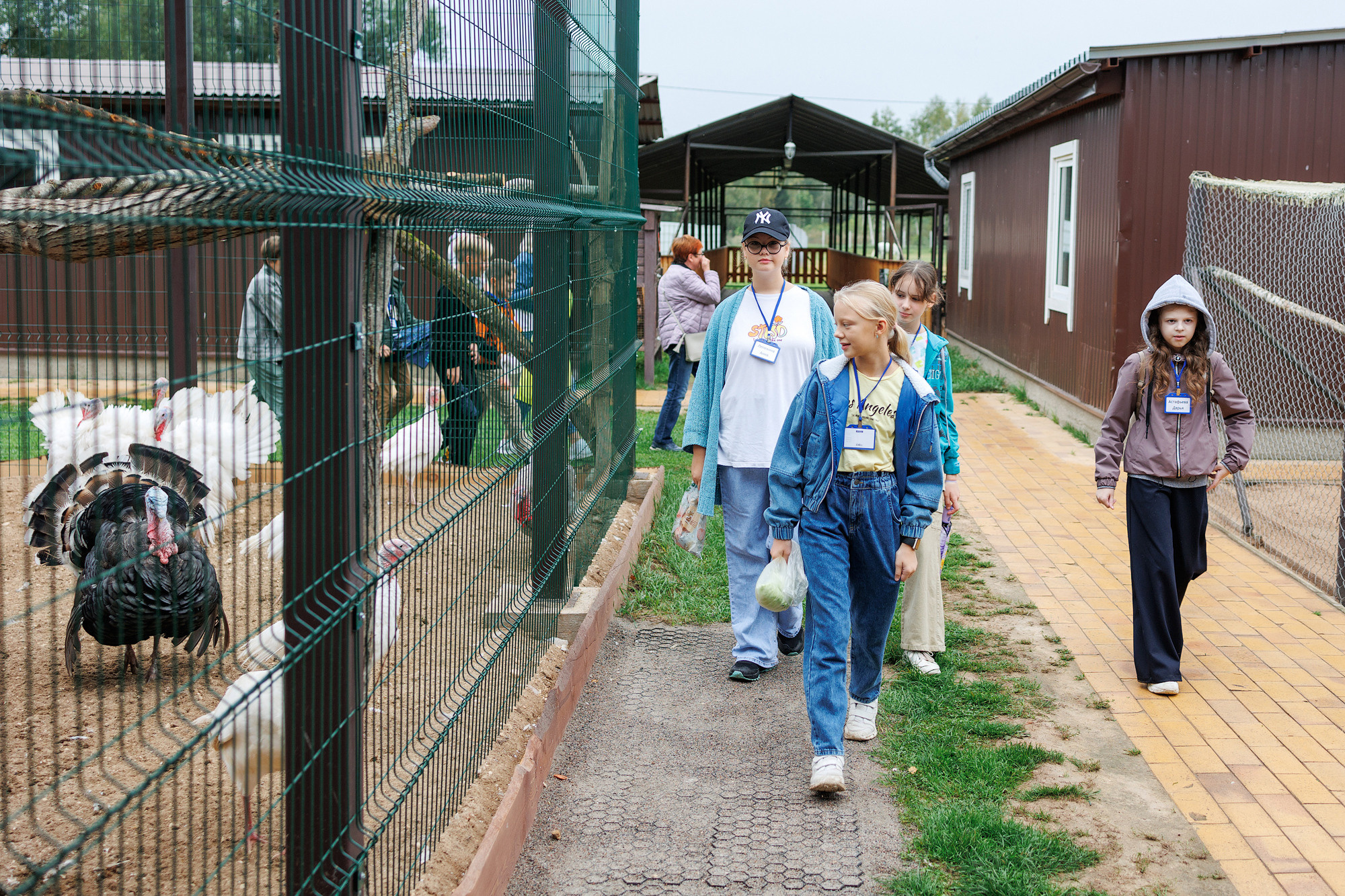 Экскурсия на оленью ферму. Фотограф в Твери и Москве Юлия Бахтамова