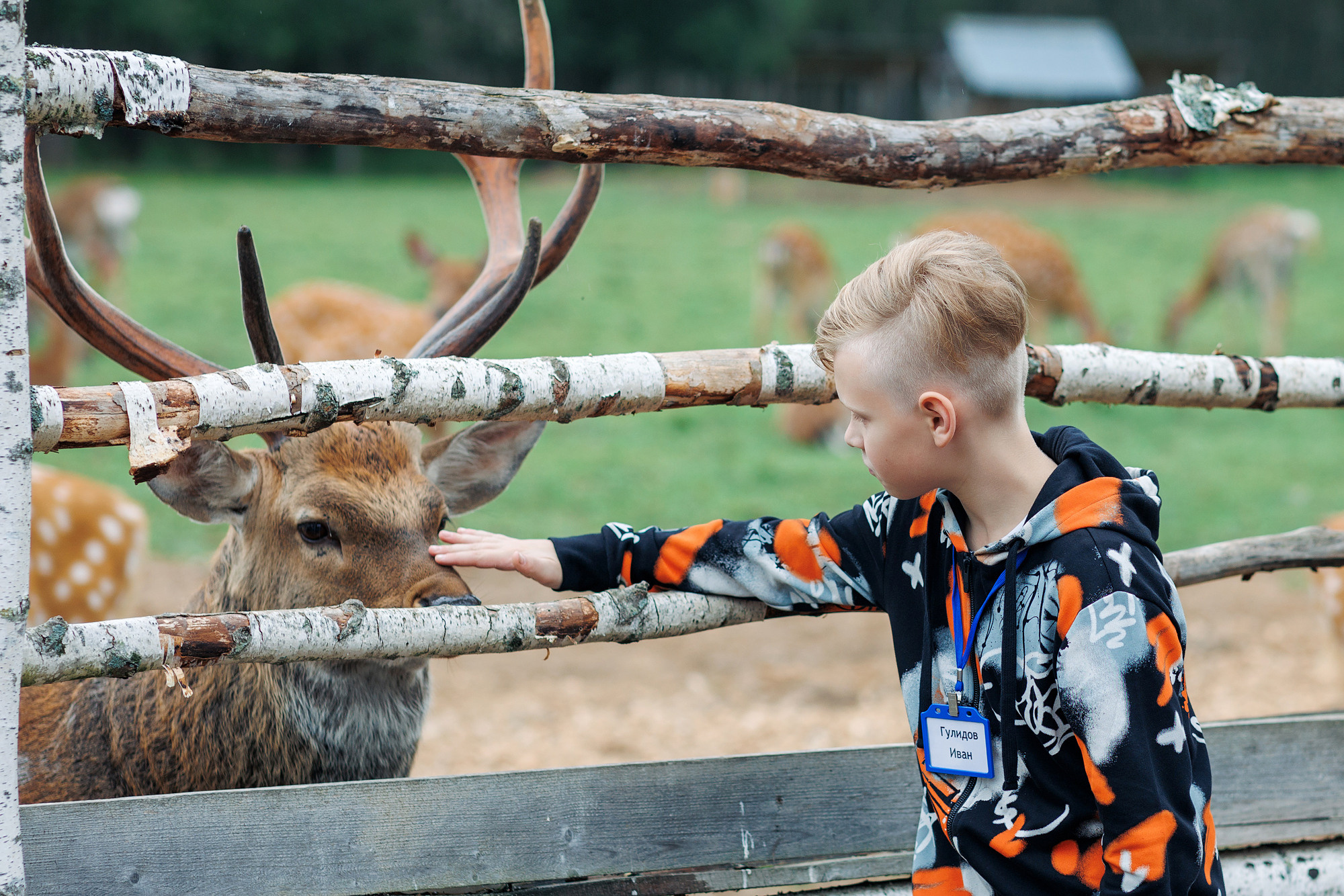 Экскурсия на оленью ферму. Фотограф в Твери и Москве Юлия Бахтамова