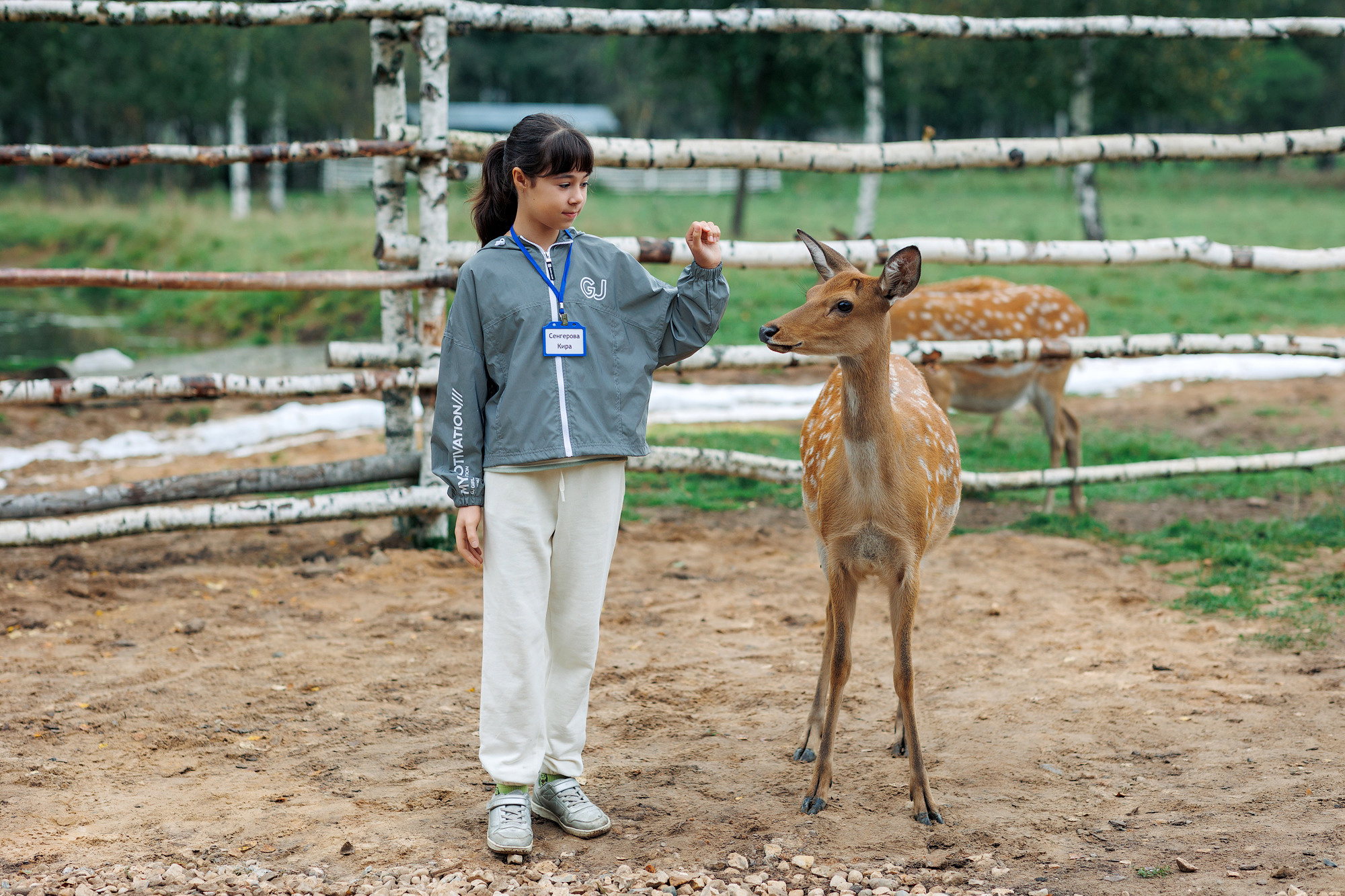 Экскурсия на оленью ферму. Фотограф в Твери и Москве Юлия Бахтамова