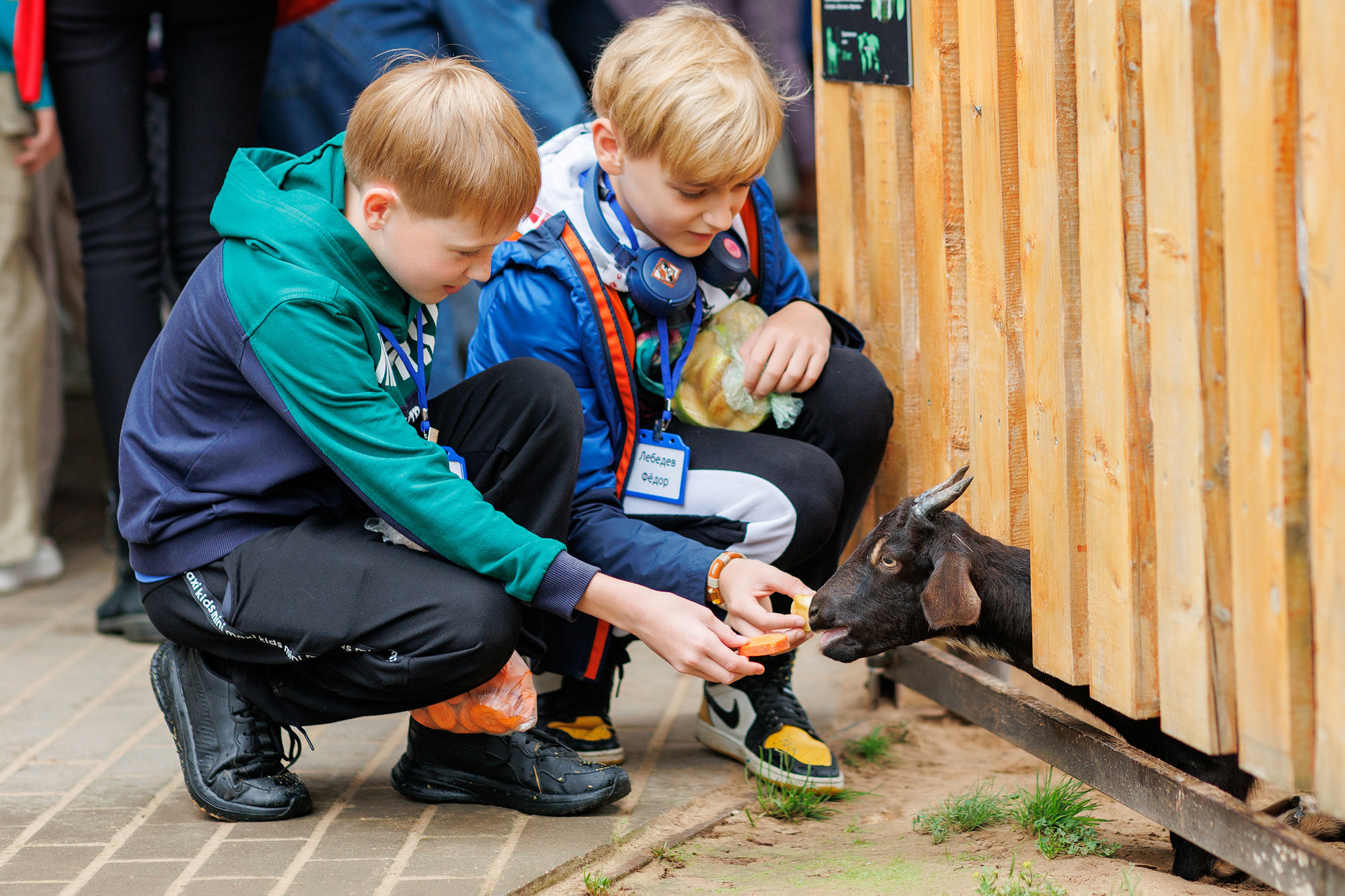 Экскурсия на оленью ферму. Фотограф в Твери и Москве Юлия Бахтамова