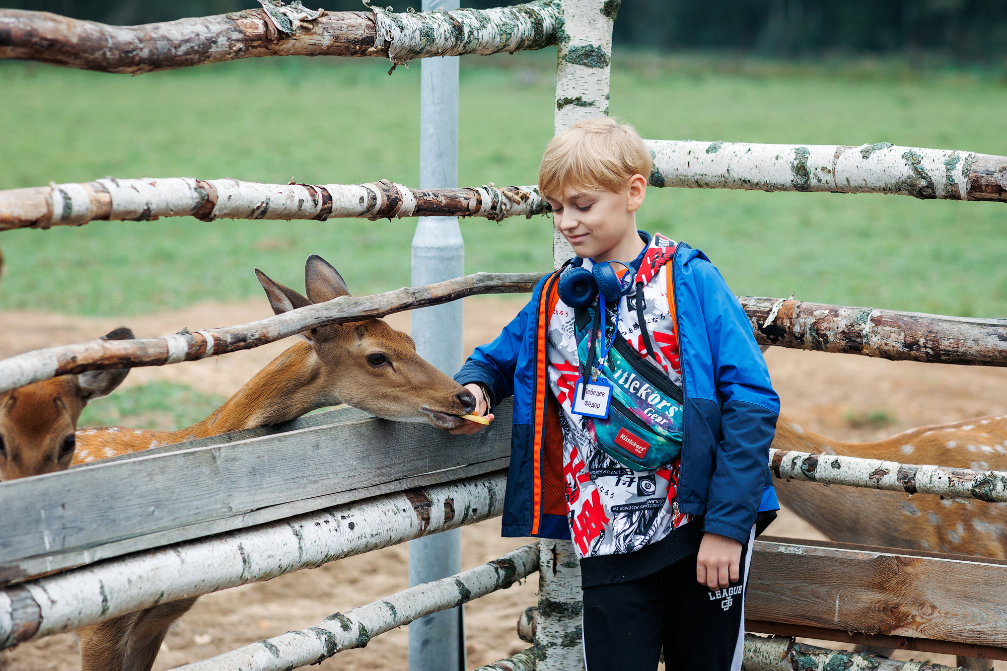 Экскурсия на оленью ферму. Фотограф в Твери и Москве Юлия Бахтамова