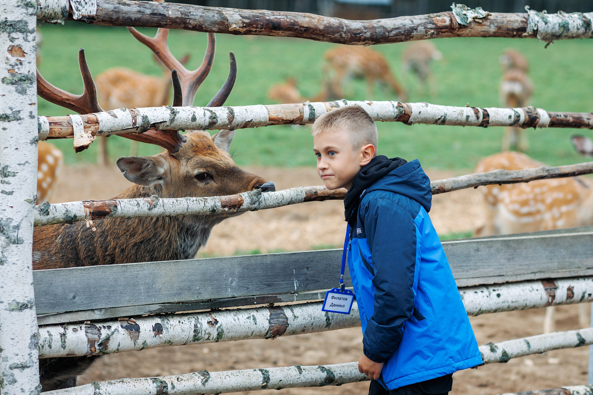 Экскурсия на оленью ферму. Фотограф в Твери и Москве Юлия Бахтамова