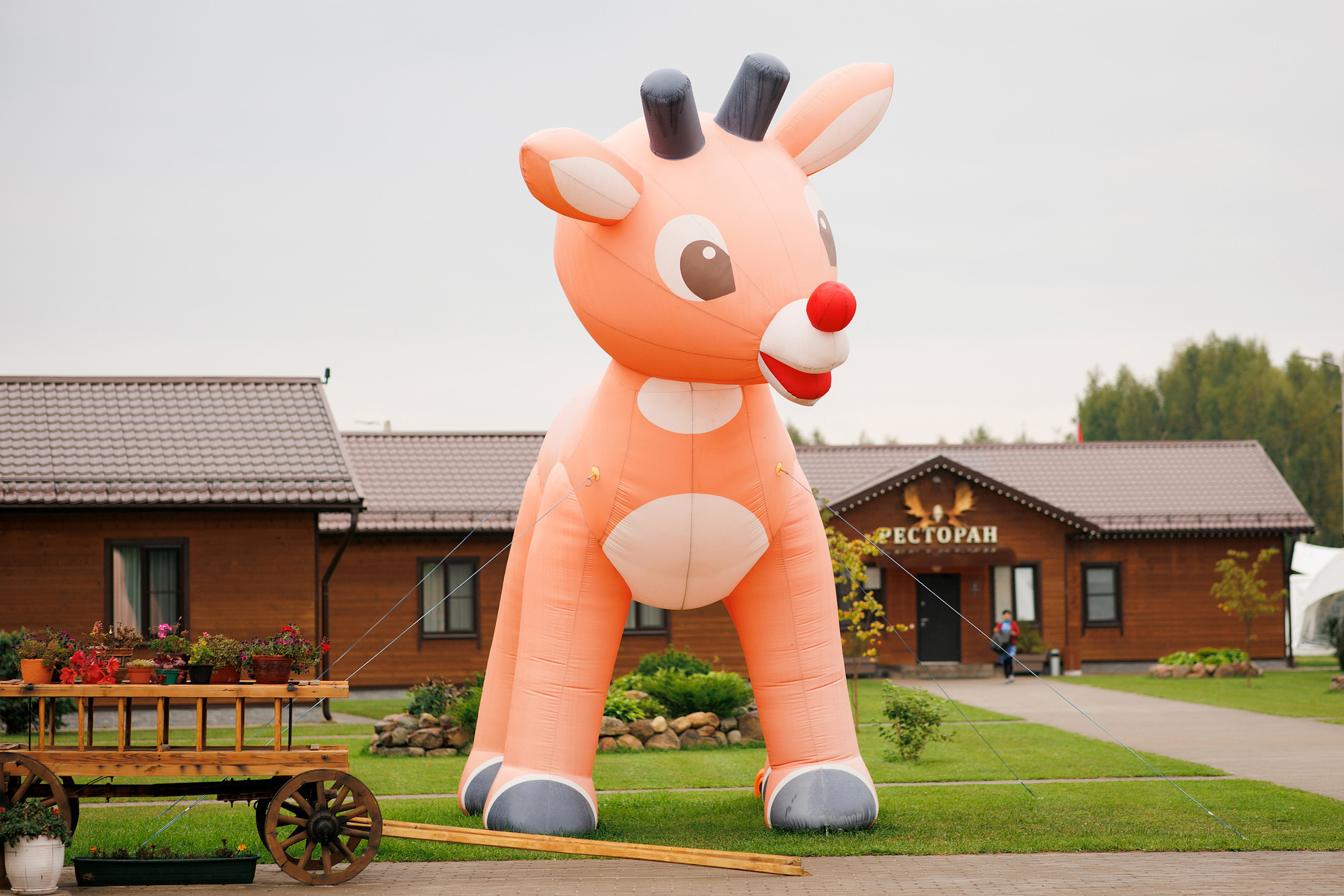Экскурсия на оленью ферму. Фотограф в Твери и Москве Юлия Бахтамова
