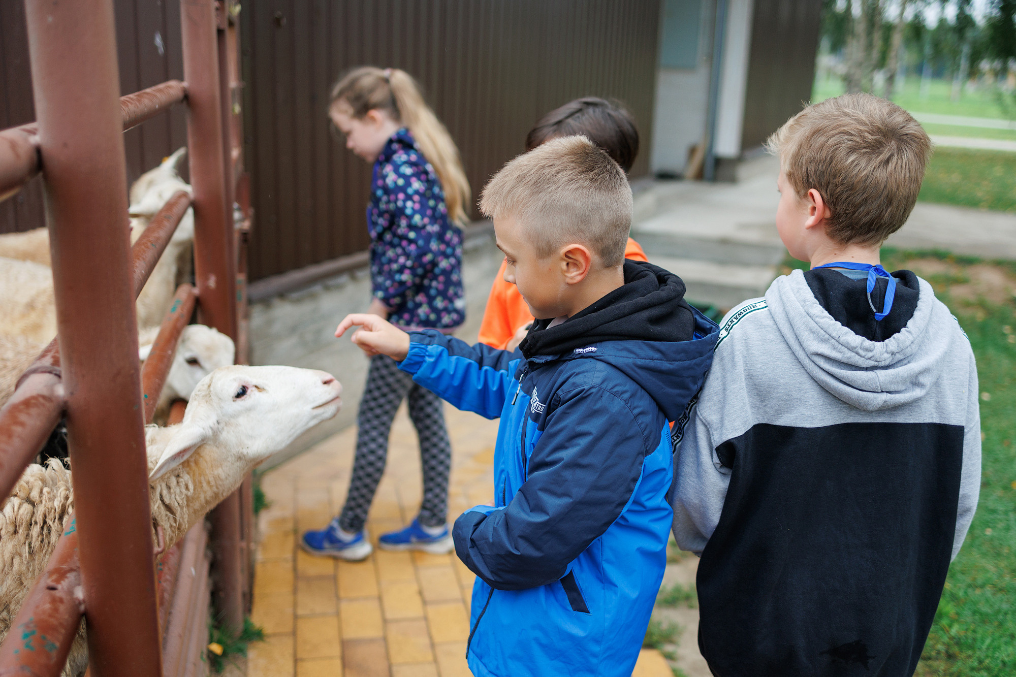 Экскурсия на оленью ферму. Фотограф в Твери и Москве Юлия Бахтамова