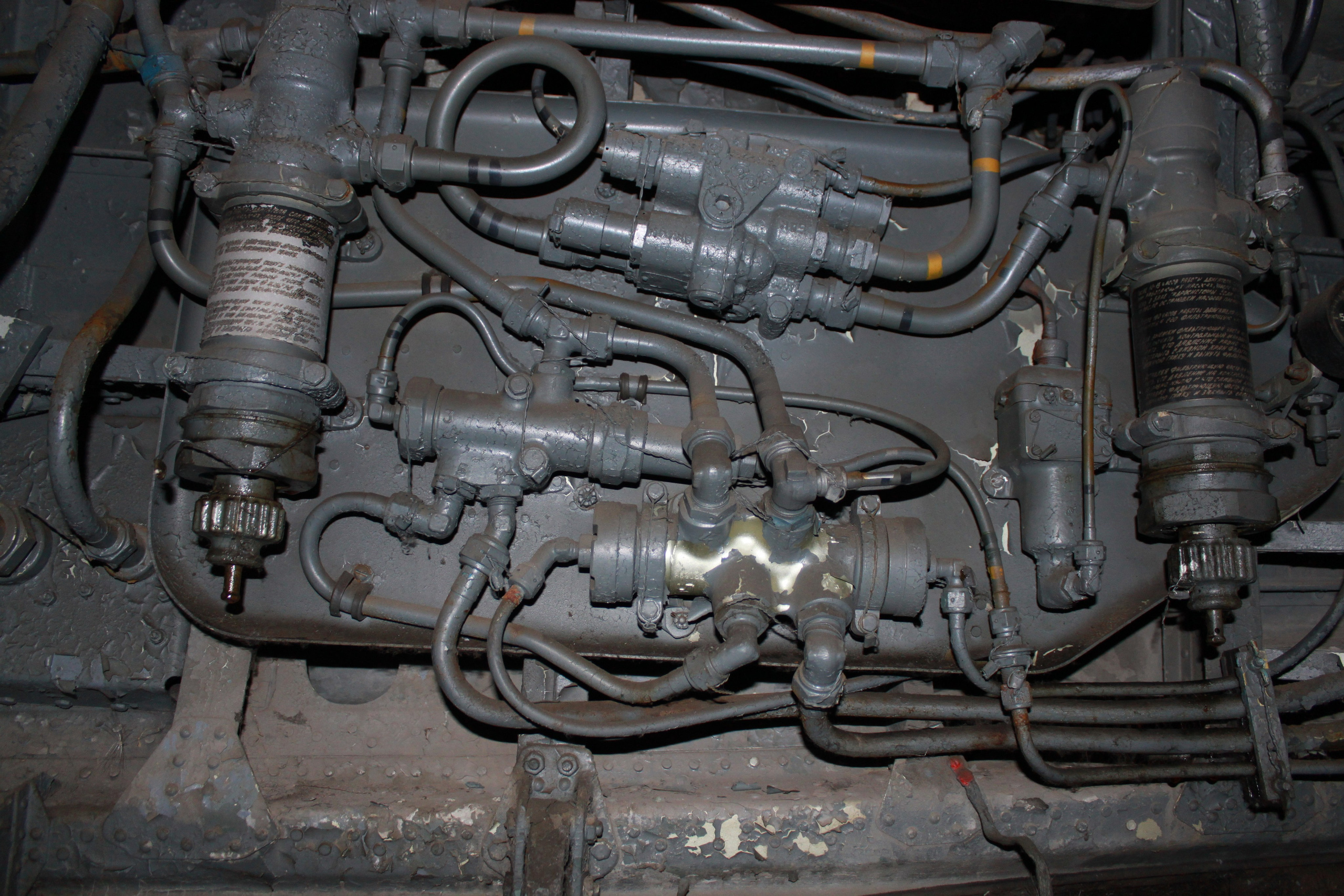 Ил-14Т «Голубая Мечта» работы в Тушино (2011 г.). Фотоальбом показывающий увлекательный мир авиации и мир медведей Андрея Иванова