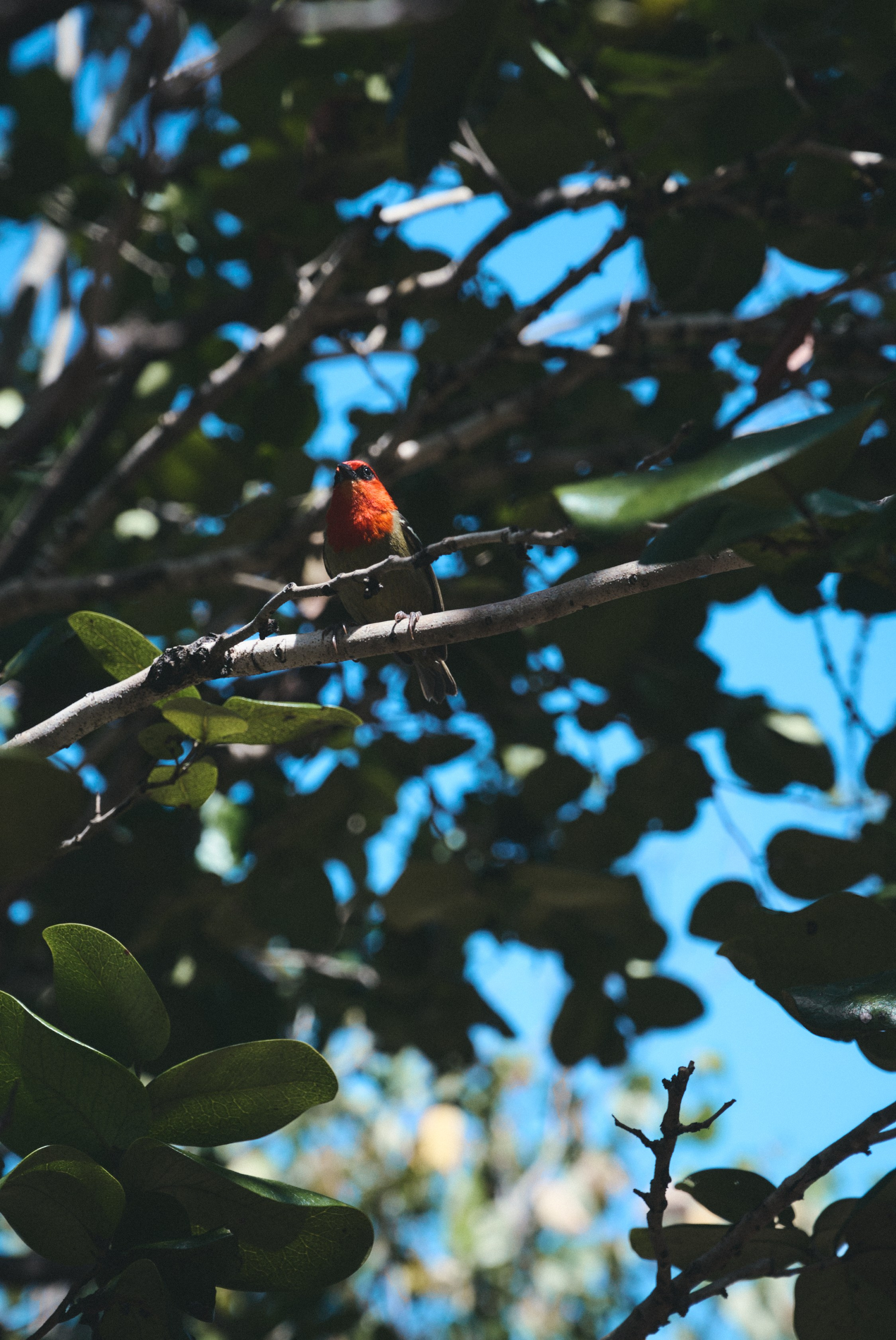 U Magazine x Выездная редакция. Фотограф Сурков Никита