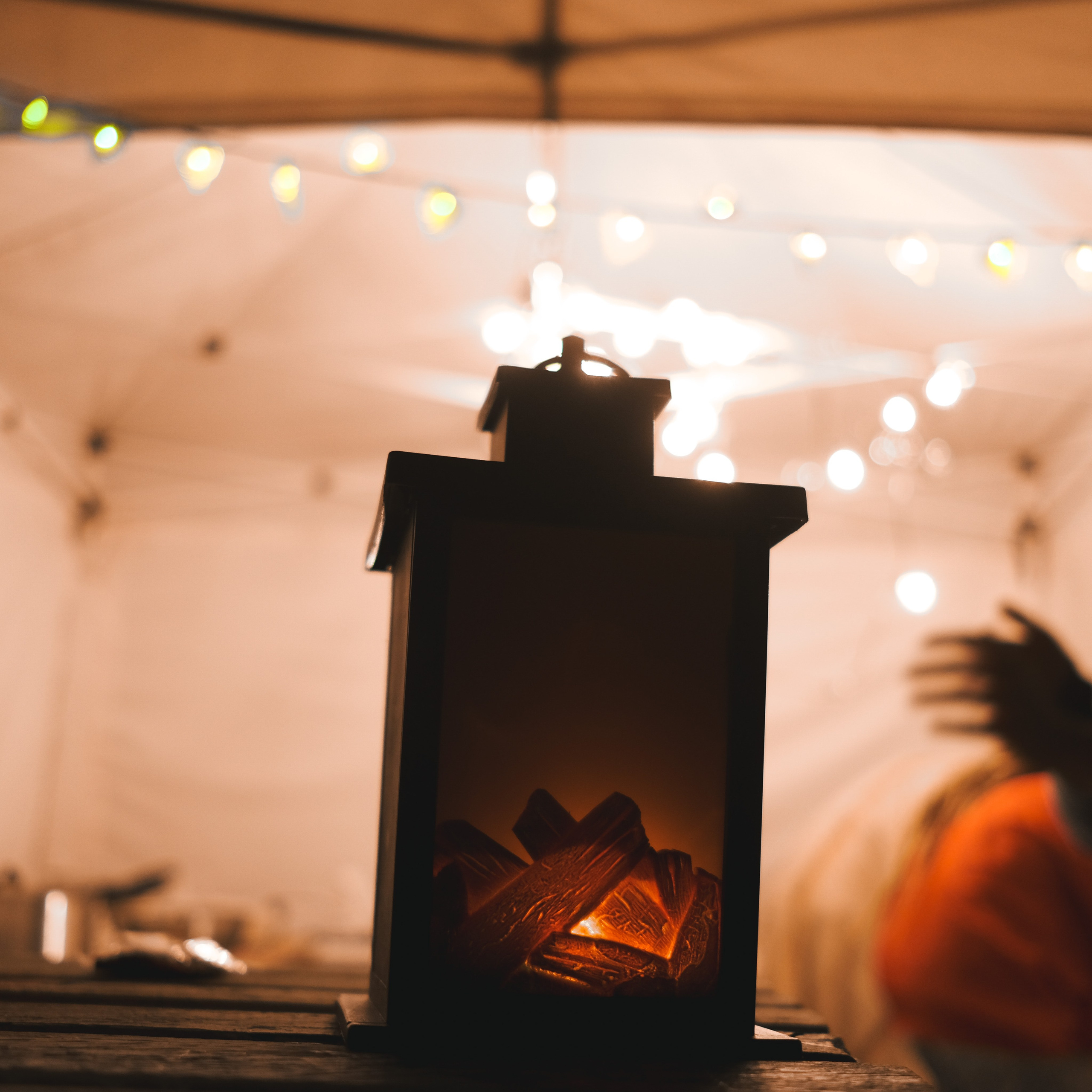 Эко-фестиваль АртЛуга 2022. LIYALEE PHOTO