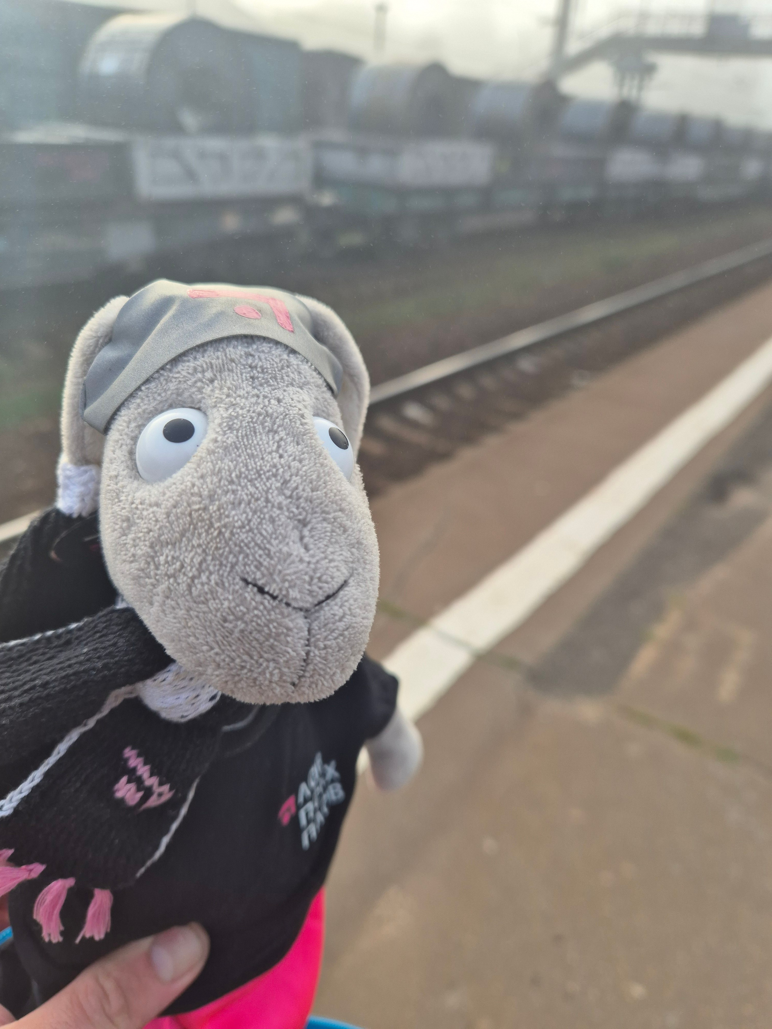 Психо-Зязя такое приключение пропустить не мог