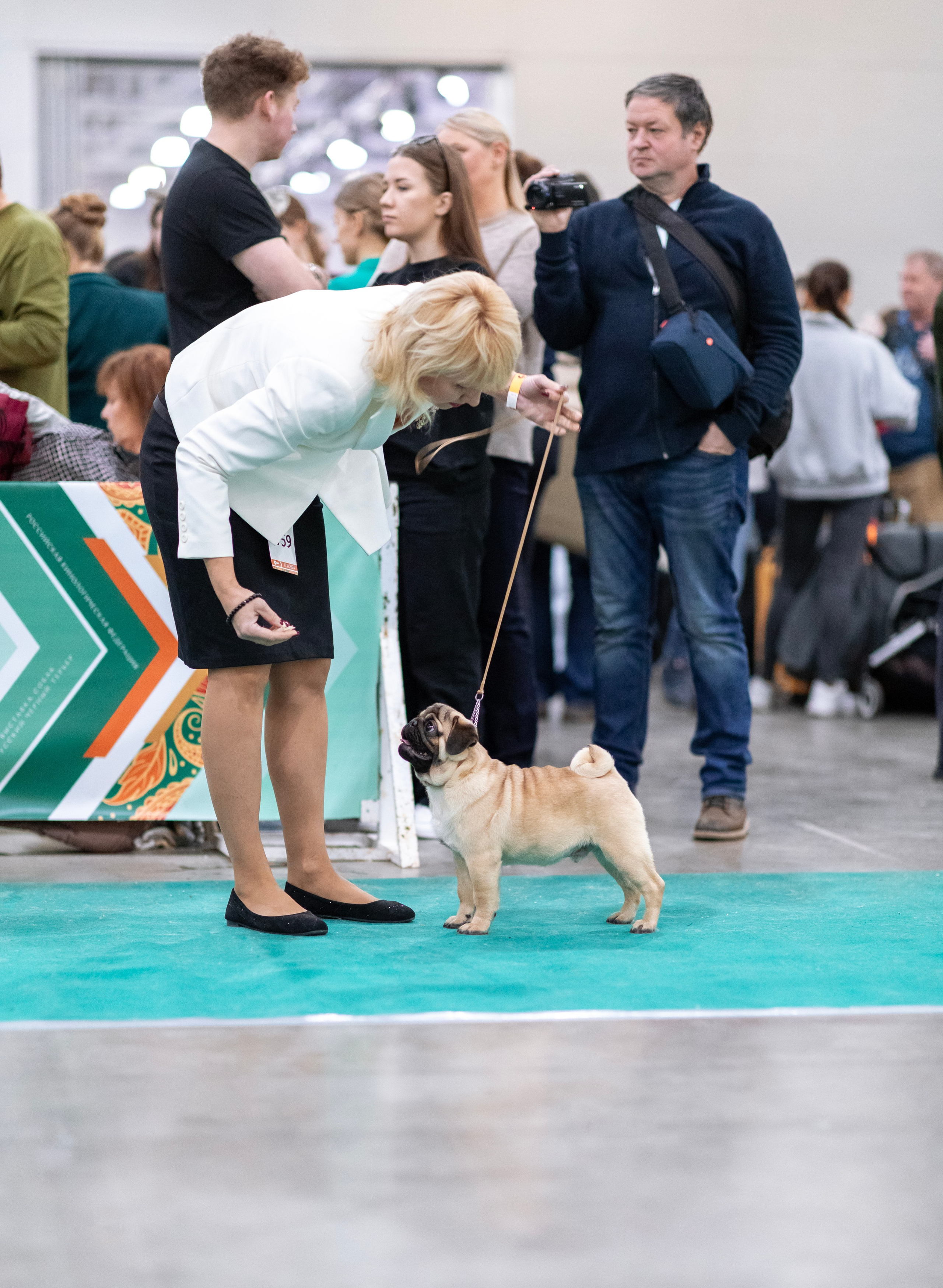 Евразия. Фотограф — анималист Татьяна Ли