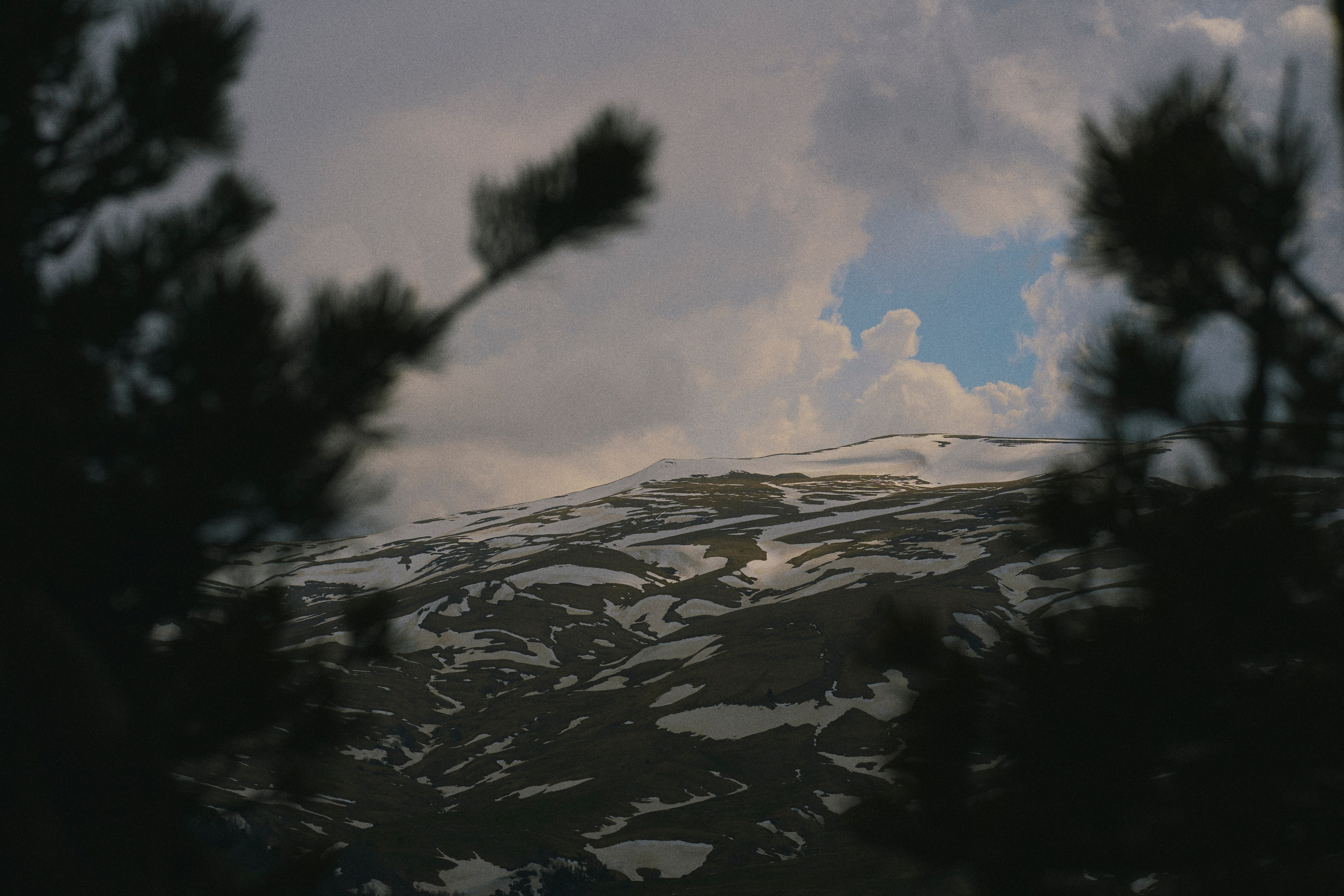 Krasnodar. Гасанова Алина|Фотограф в Санкт-Петербурге