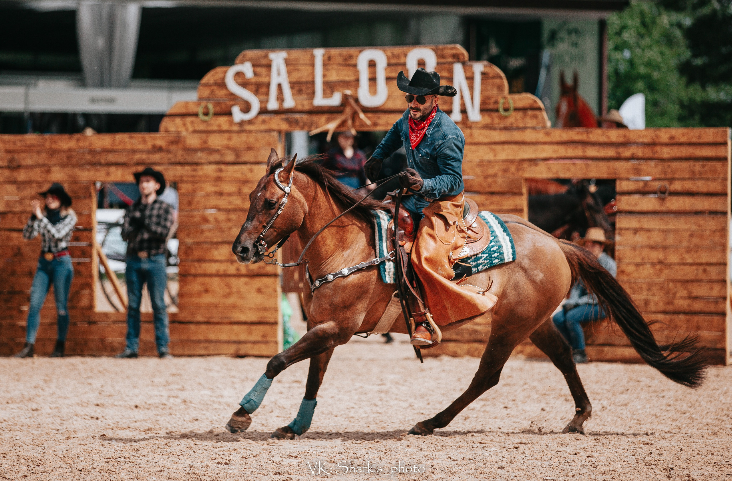 Лошади. Главная