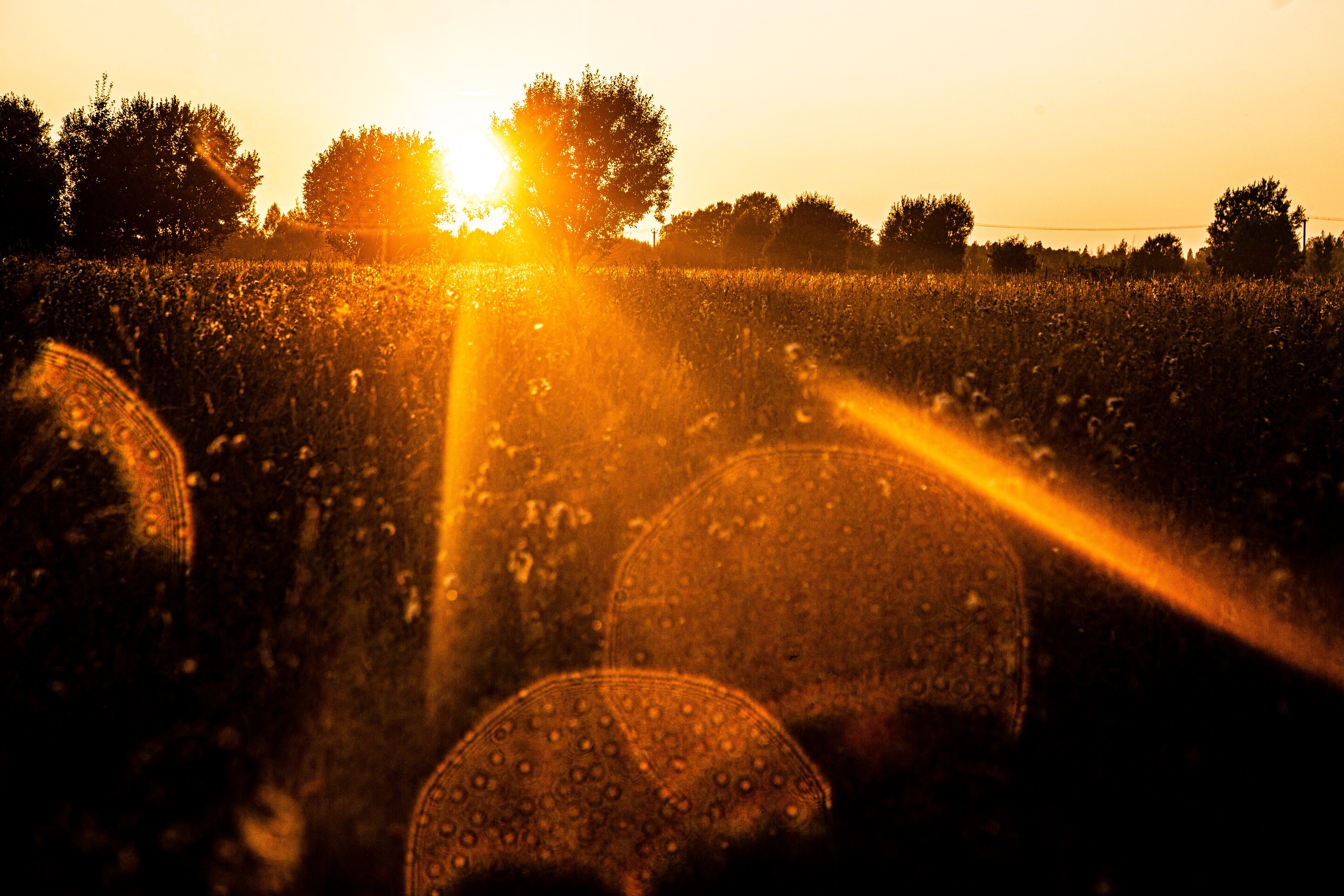 Коля. Черно-белый фотограф Дмитрий Пчелкин