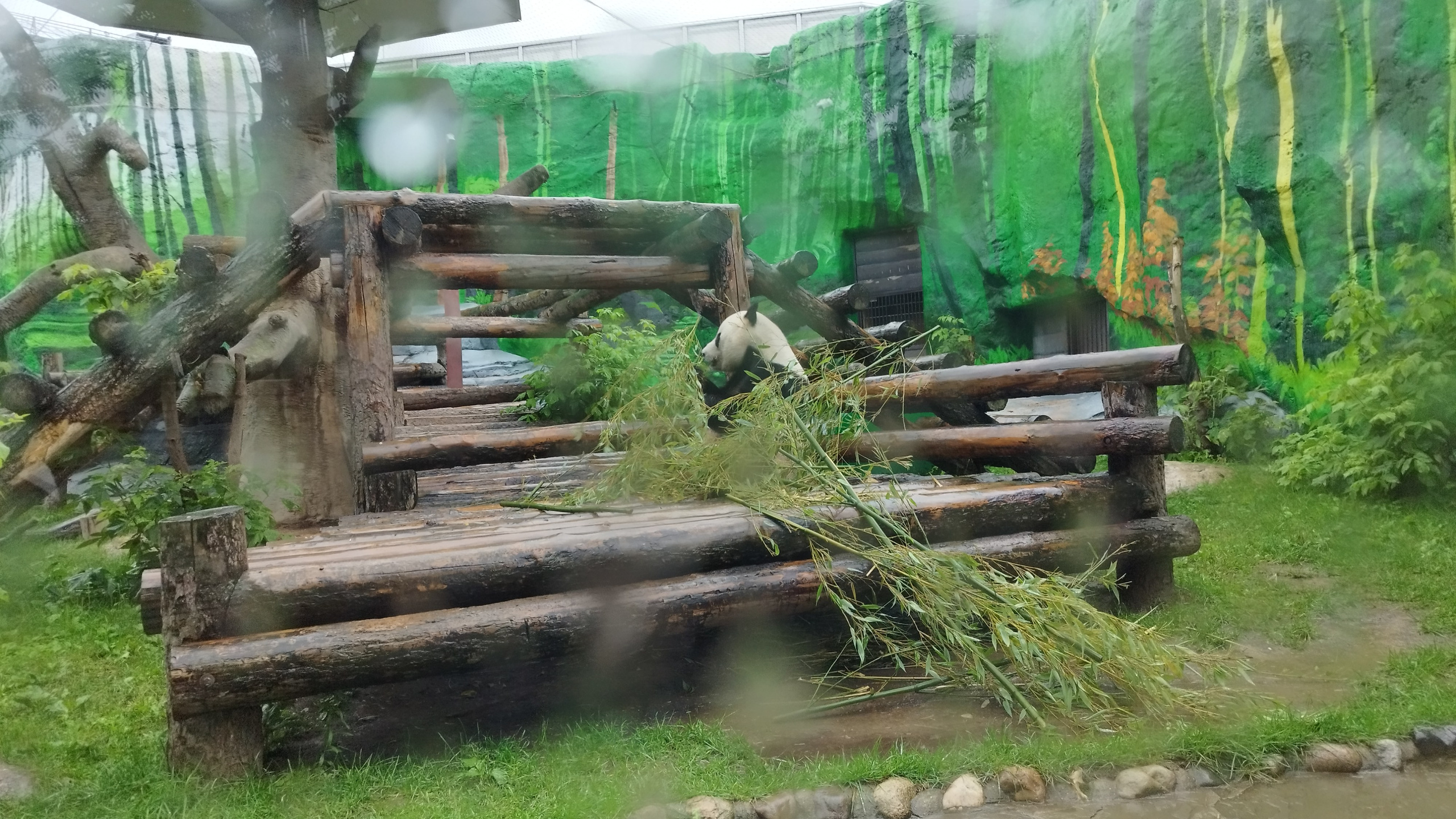 Приглашаем в арт-лагерь в Москве для детей!. Арт-вечеринки и мастер-классы в Москве для взрослых и детей