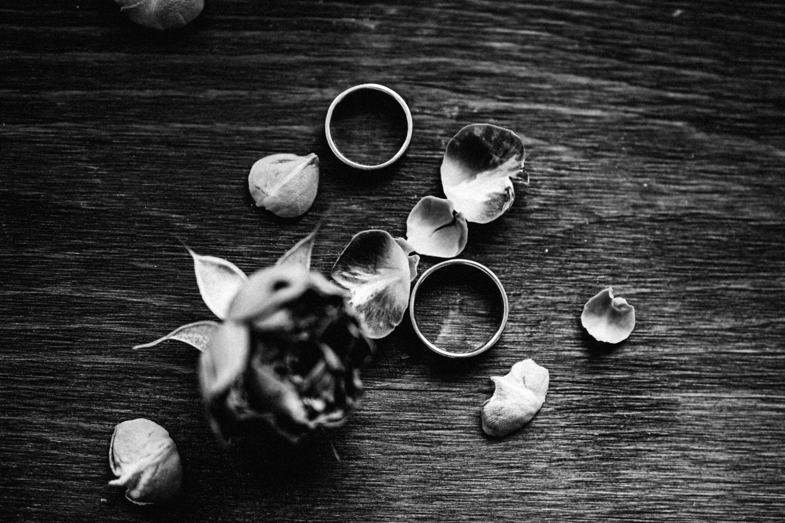 Ваня и Тоня. Daria Chigintseva Photographer