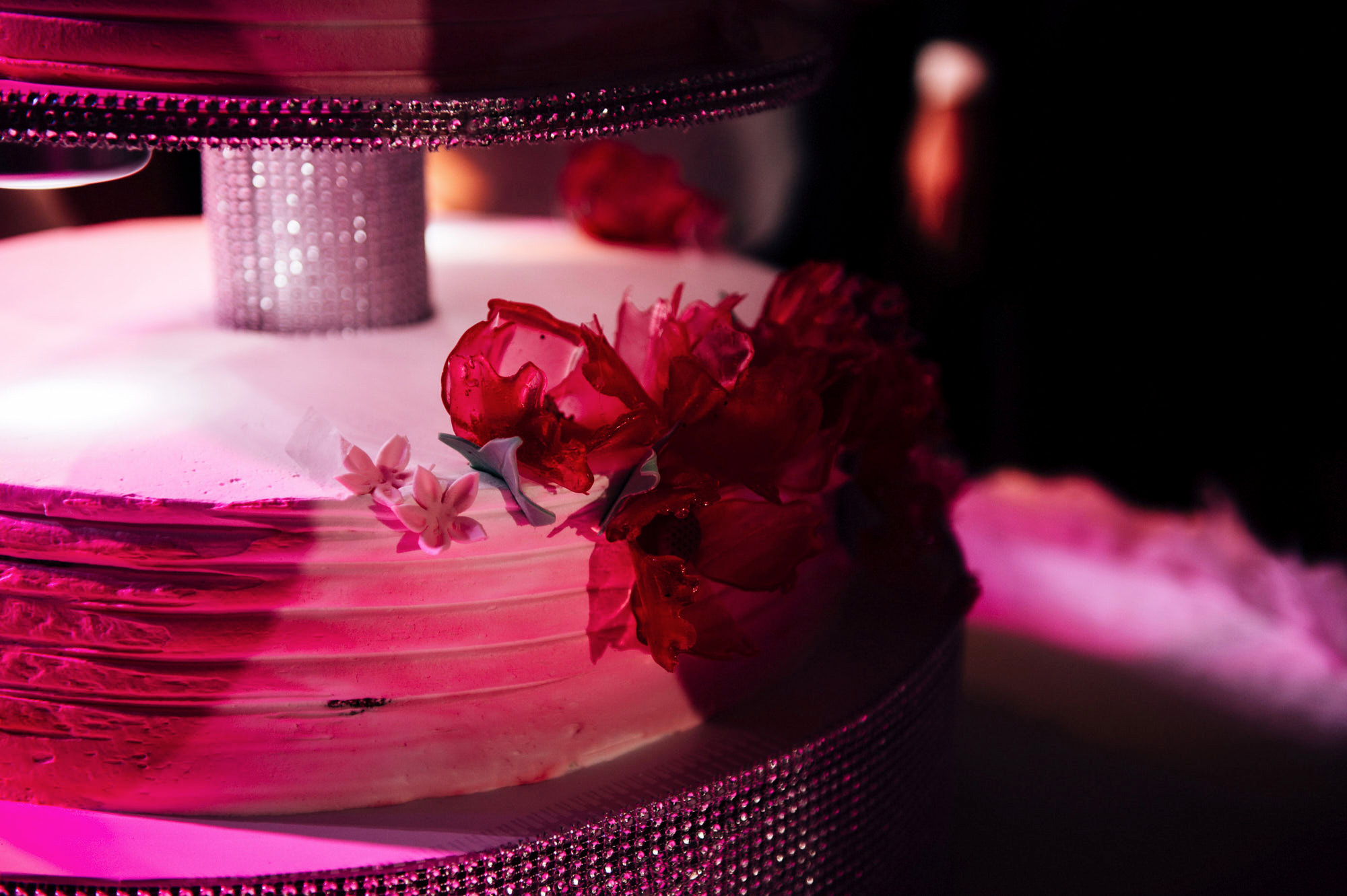 Дмитрий + Елена. Свадебный фотограф Владимир Рябков