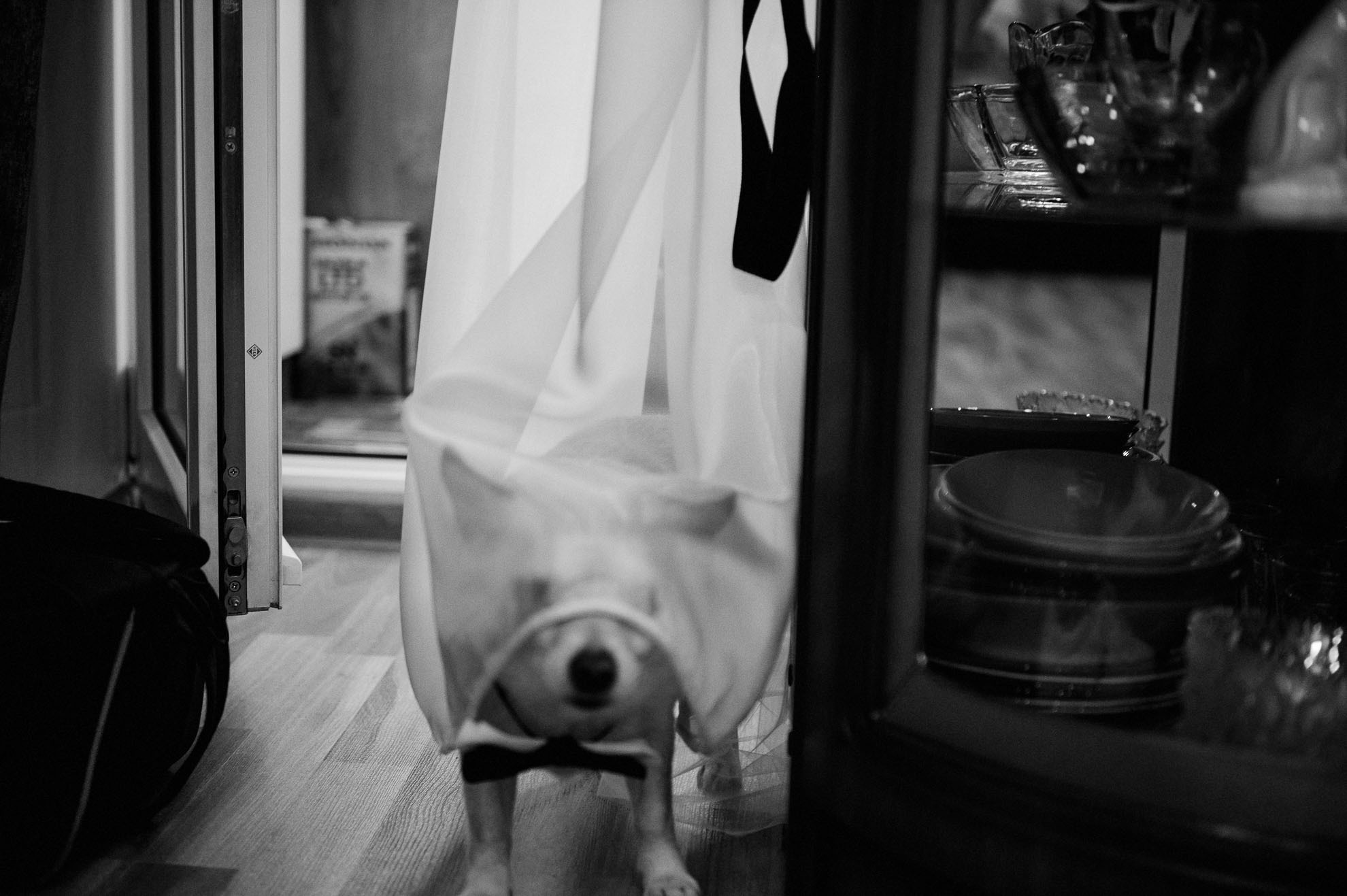 Дмитрий + Светлана. Свадебный фотограф Владимир Рябков