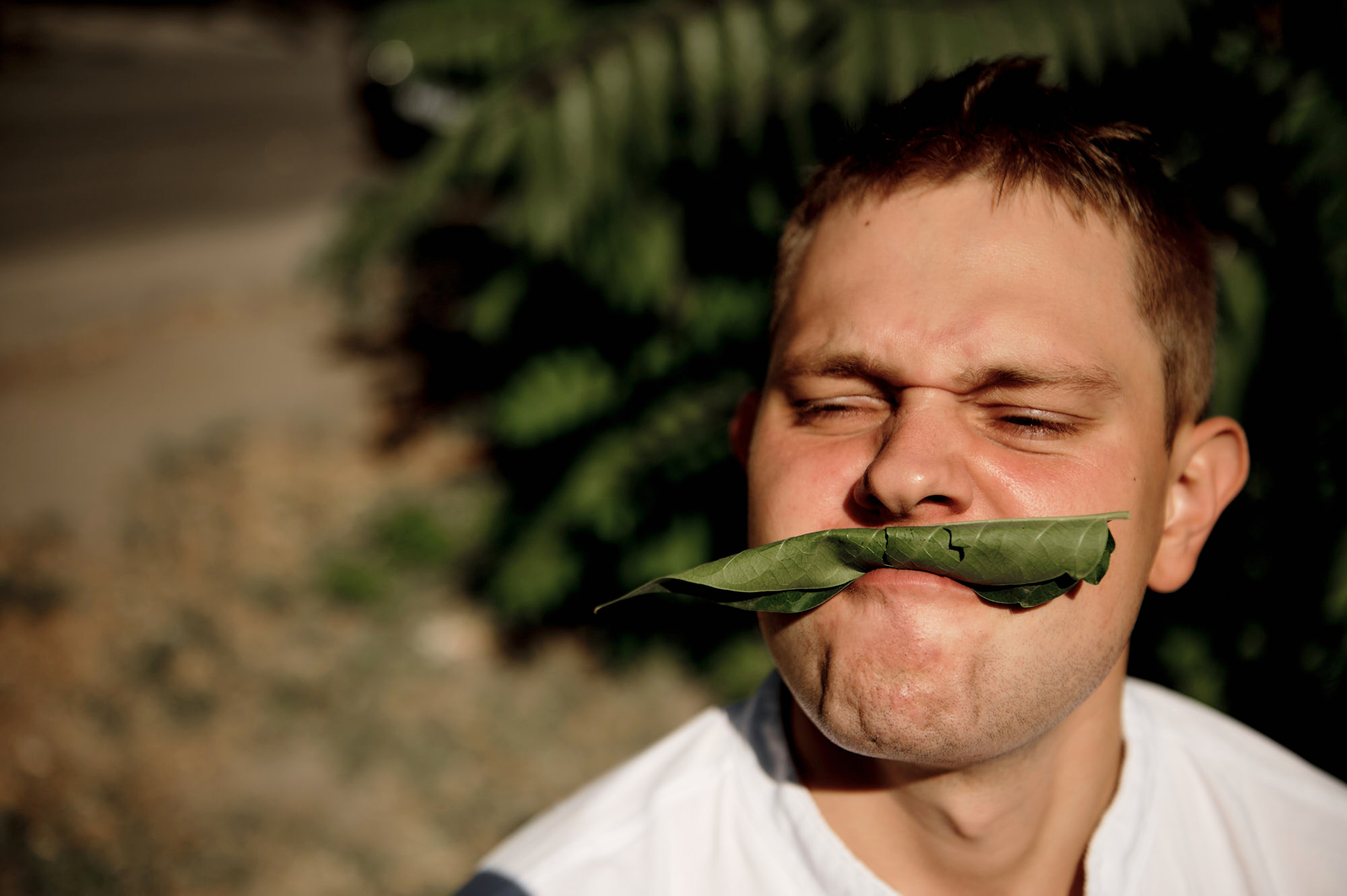 Владимир + Вера. Свадебный фотограф Владимир Рябков