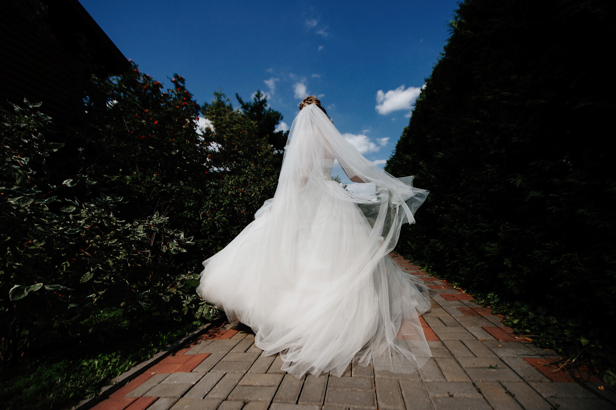 Николай + Светлана. Свадебный фотограф Владимир Рябков