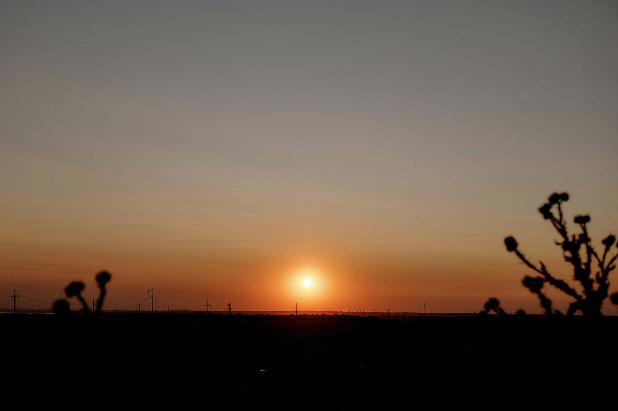 Пётр + Валерия. Свадебный фотограф Владимир Рябков