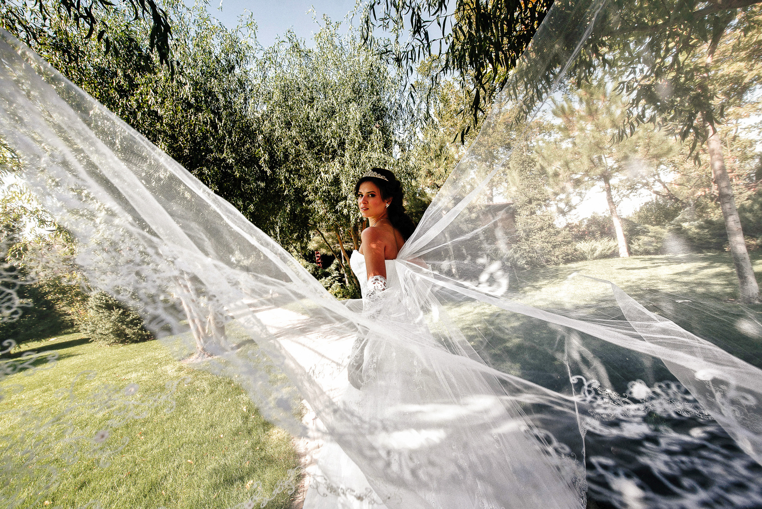 Дарья + Максим. Свадебный фотограф Владимир Рябков