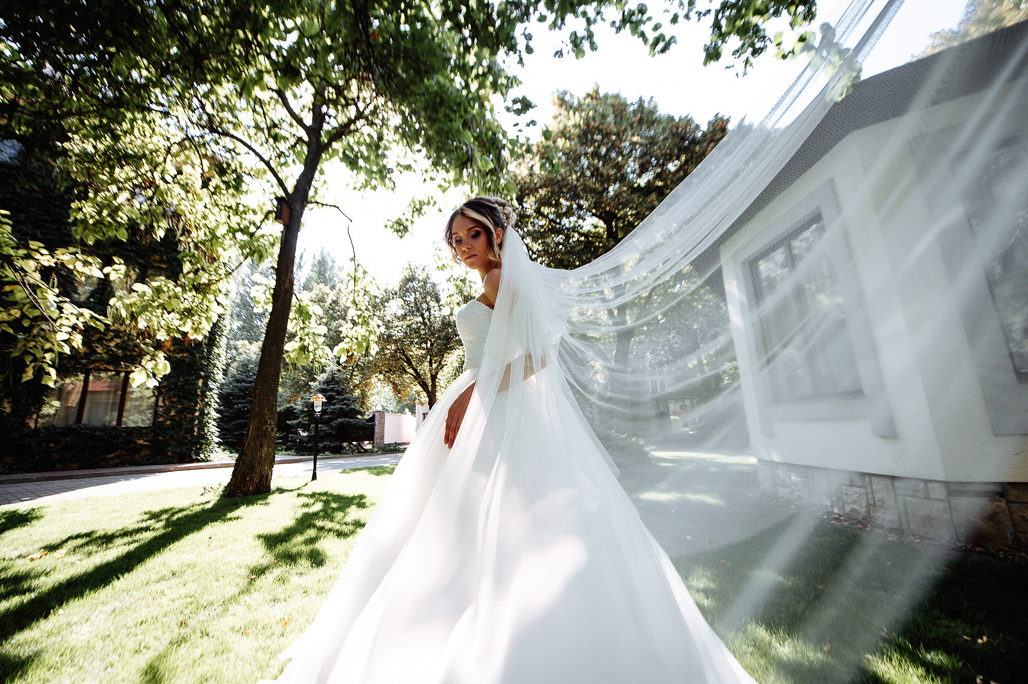 Николай + Светлана. Свадебный фотограф Владимир Рябков