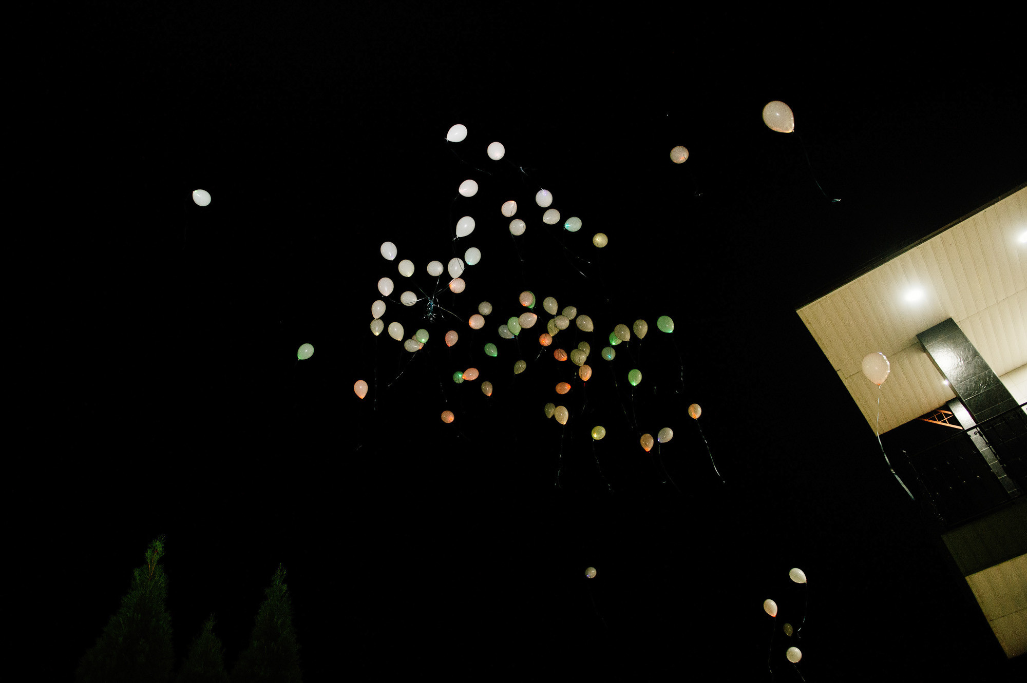 Николай + Светлана. Свадебный фотограф Владимир Рябков