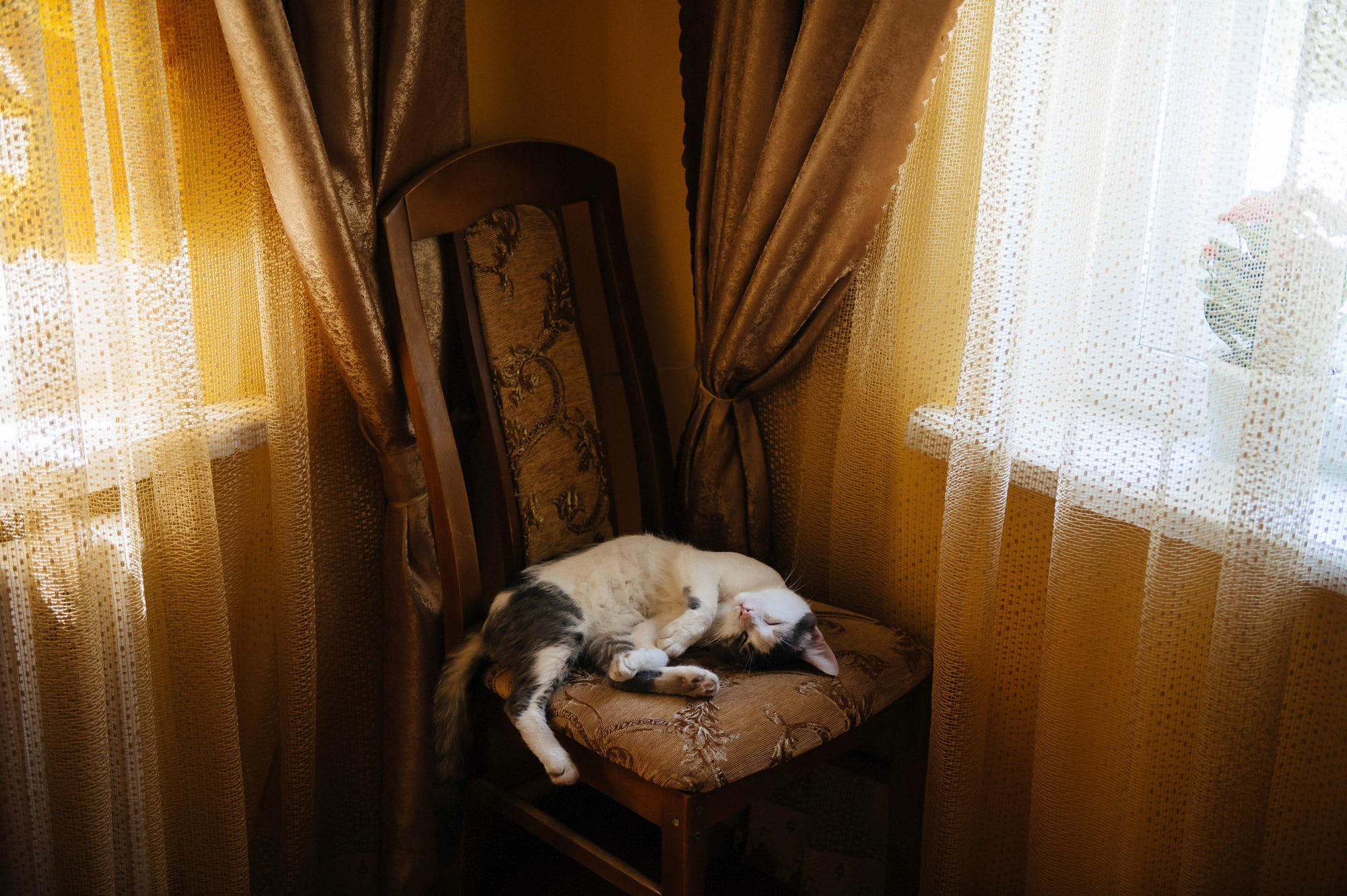 Дмитрий + Елена. Свадебный фотограф Владимир Рябков