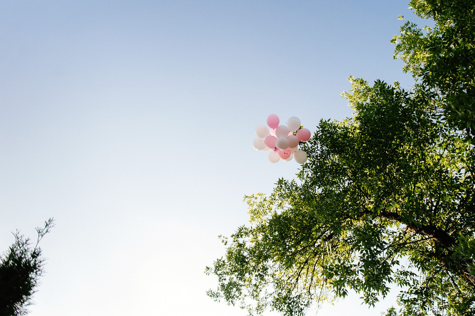 Александр + Вера. Свадебный фотограф Владимир Рябков