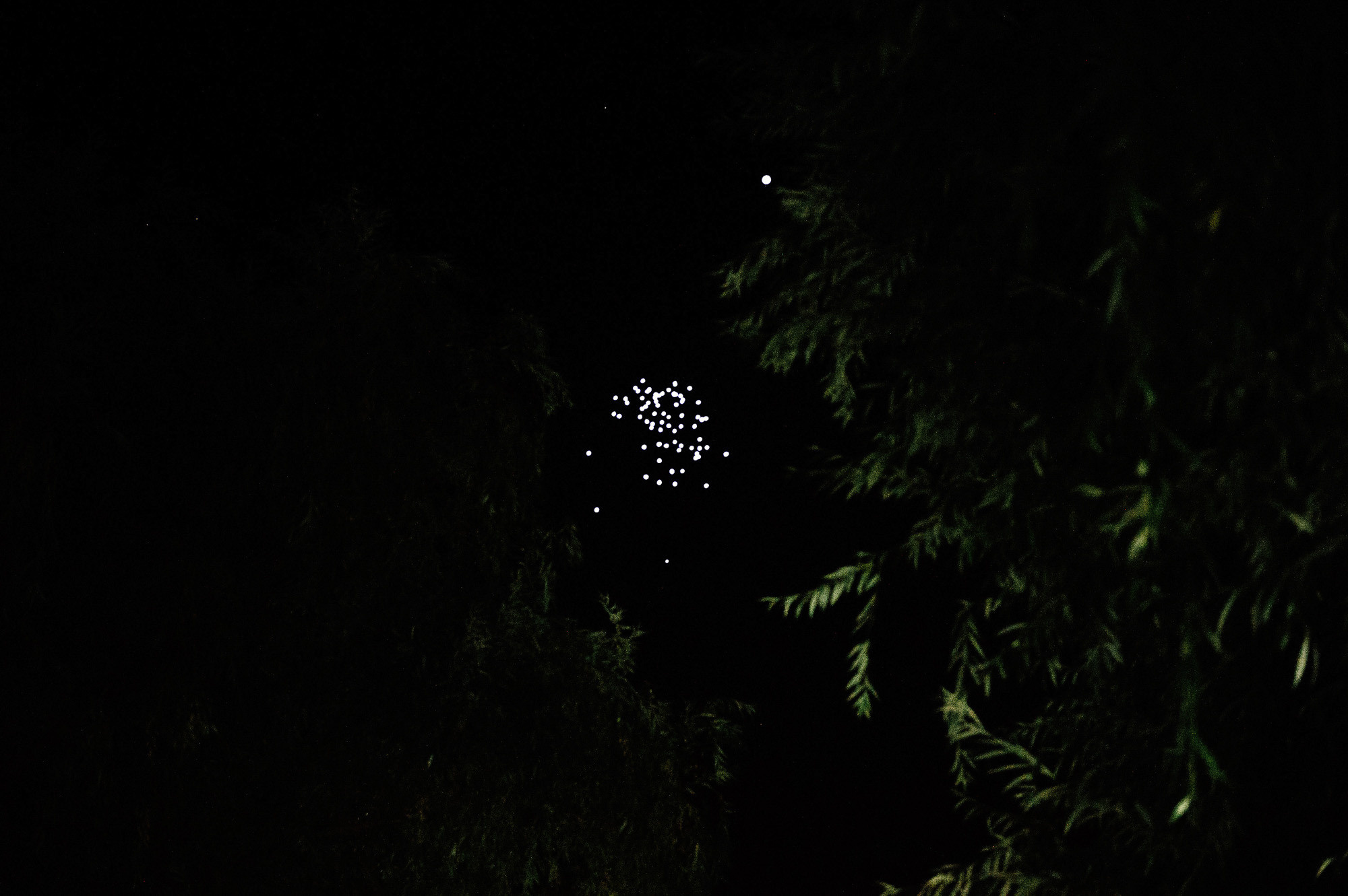 Александр + Вера. Свадебный фотограф Владимир Рябков