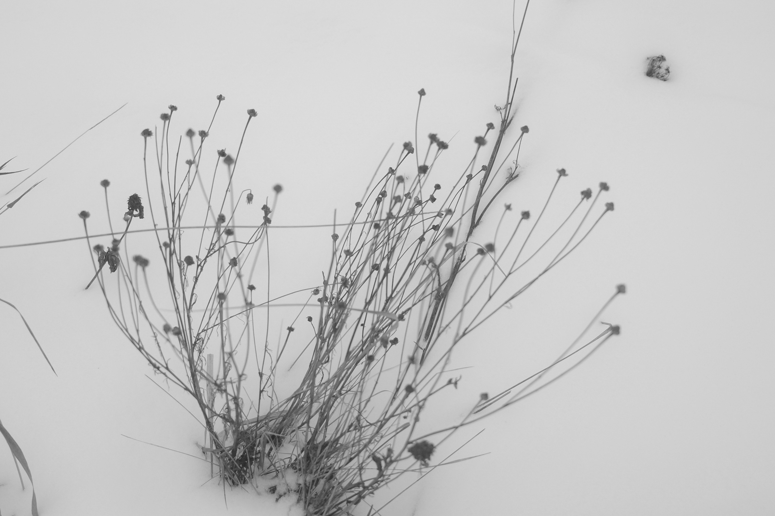 — 2025. Фотограф Злата Спицына