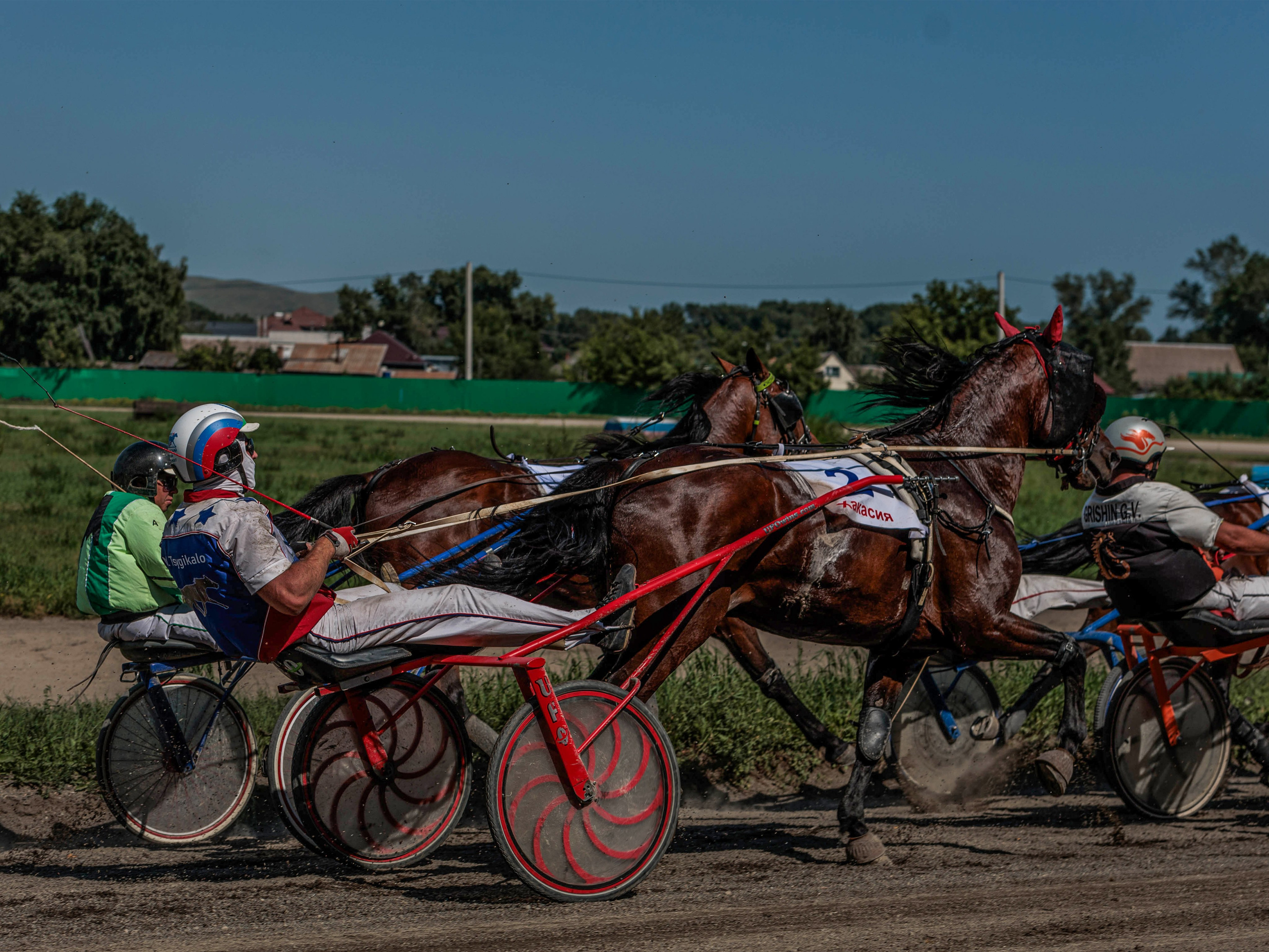 Зарисовки Абаканский ипподром 2025. Конный фотограф в Красноярске — Любовь Похабова